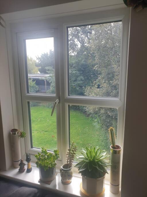 Budget Double Room photo 3