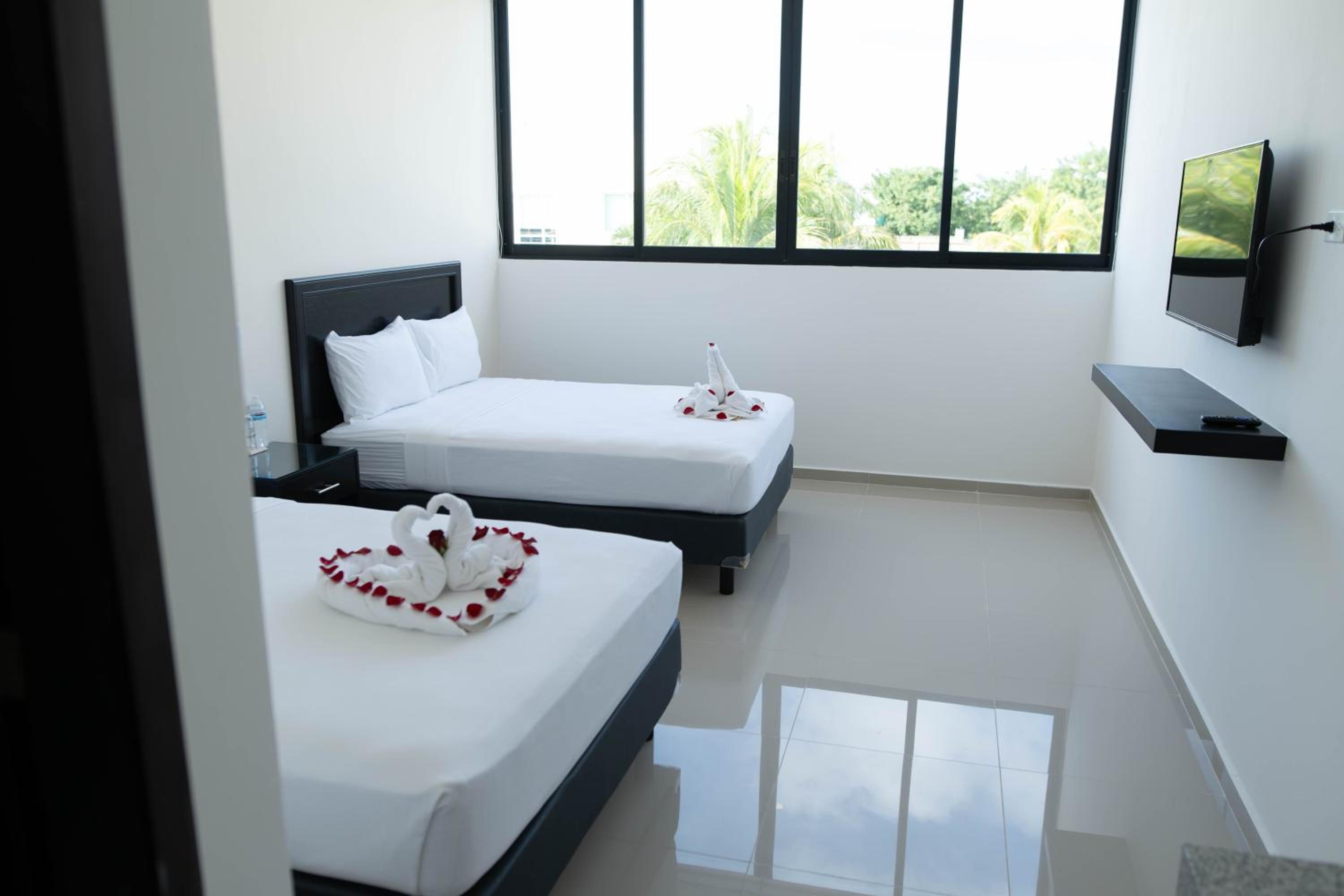 Superior Twin Room photo 1