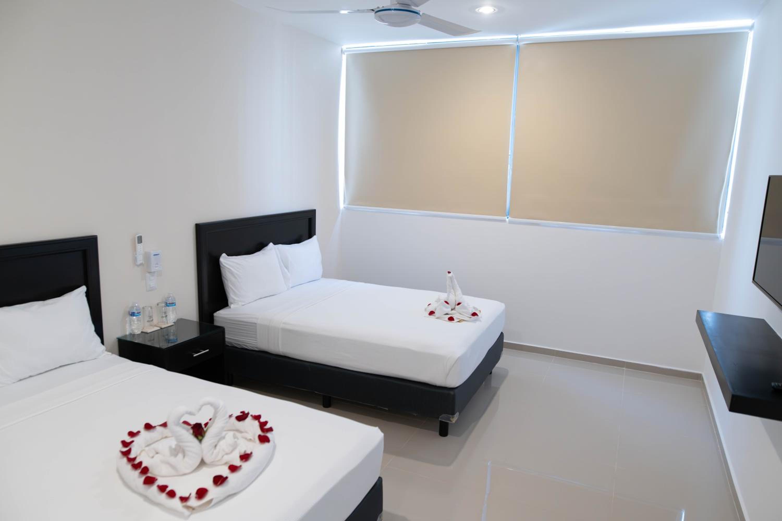 Superior Twin Room photo 3