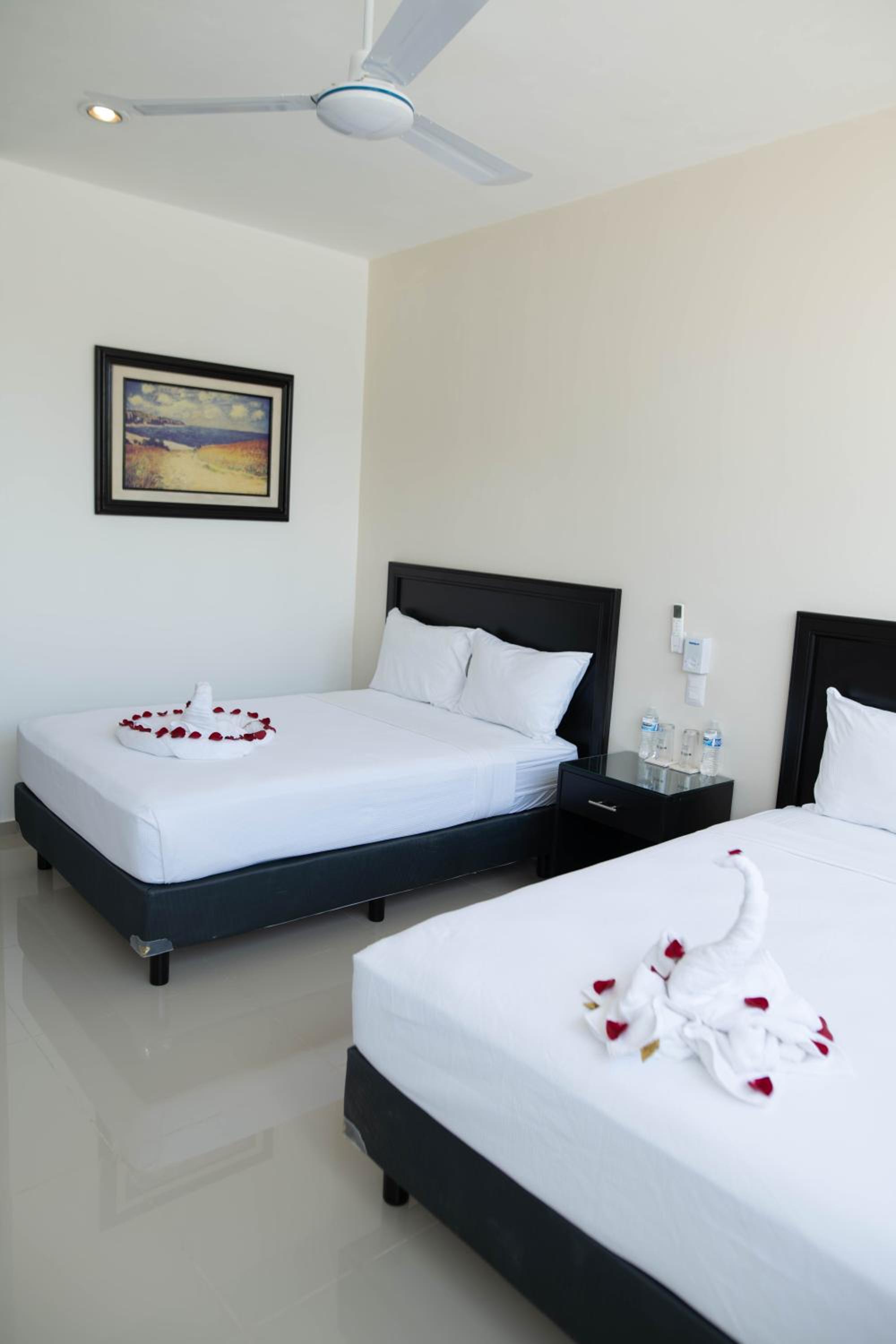 Superior Twin Room photo 2