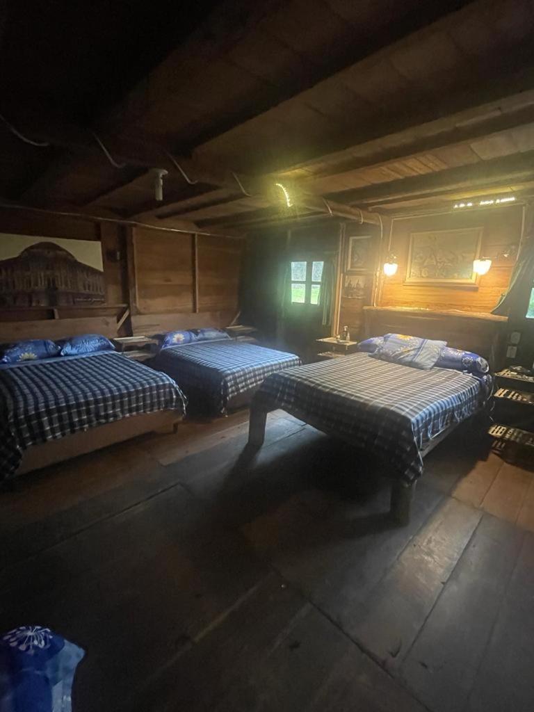 Three-Bedroom Villa photo 1