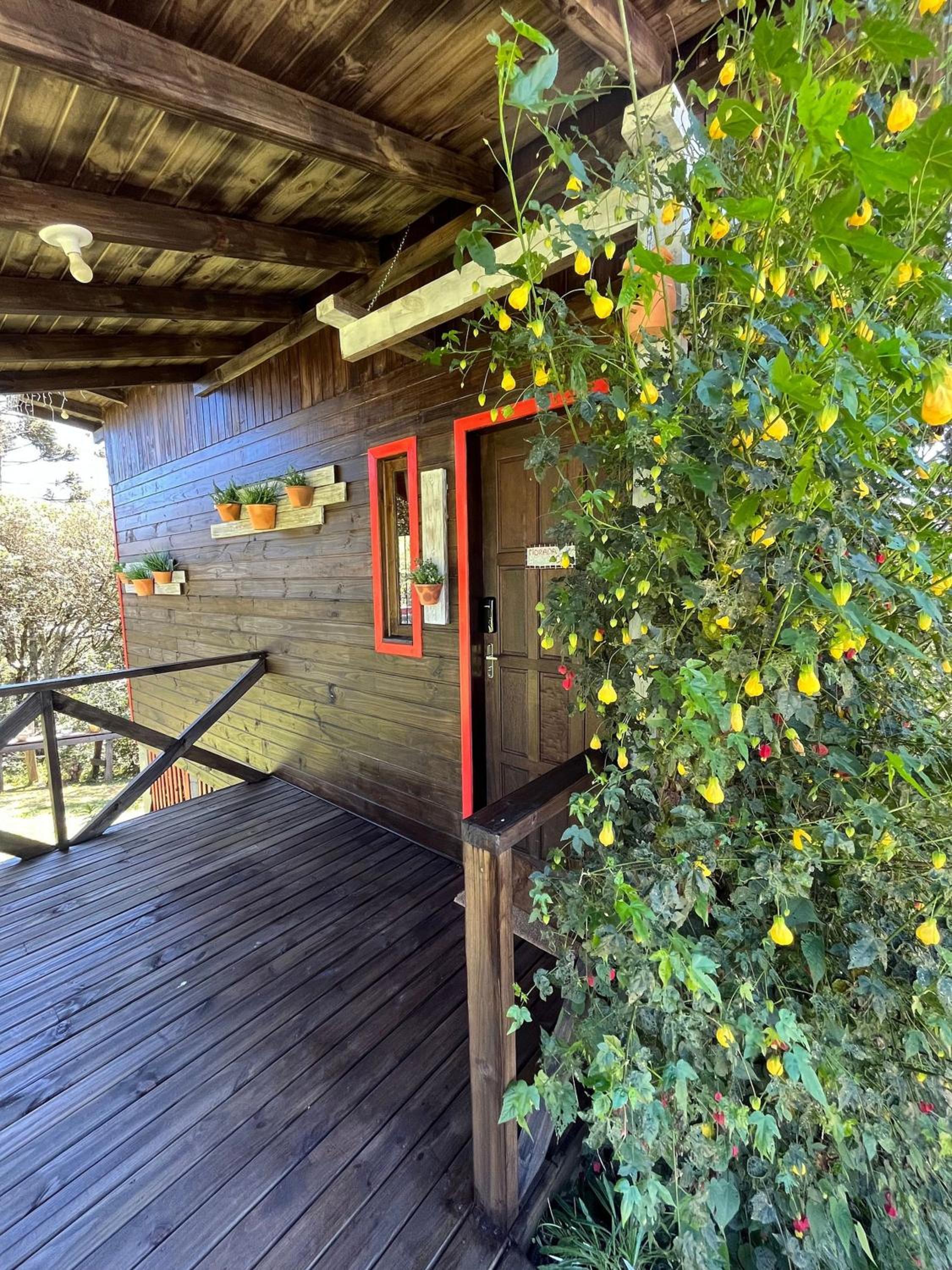 Superior Chalet photo 3