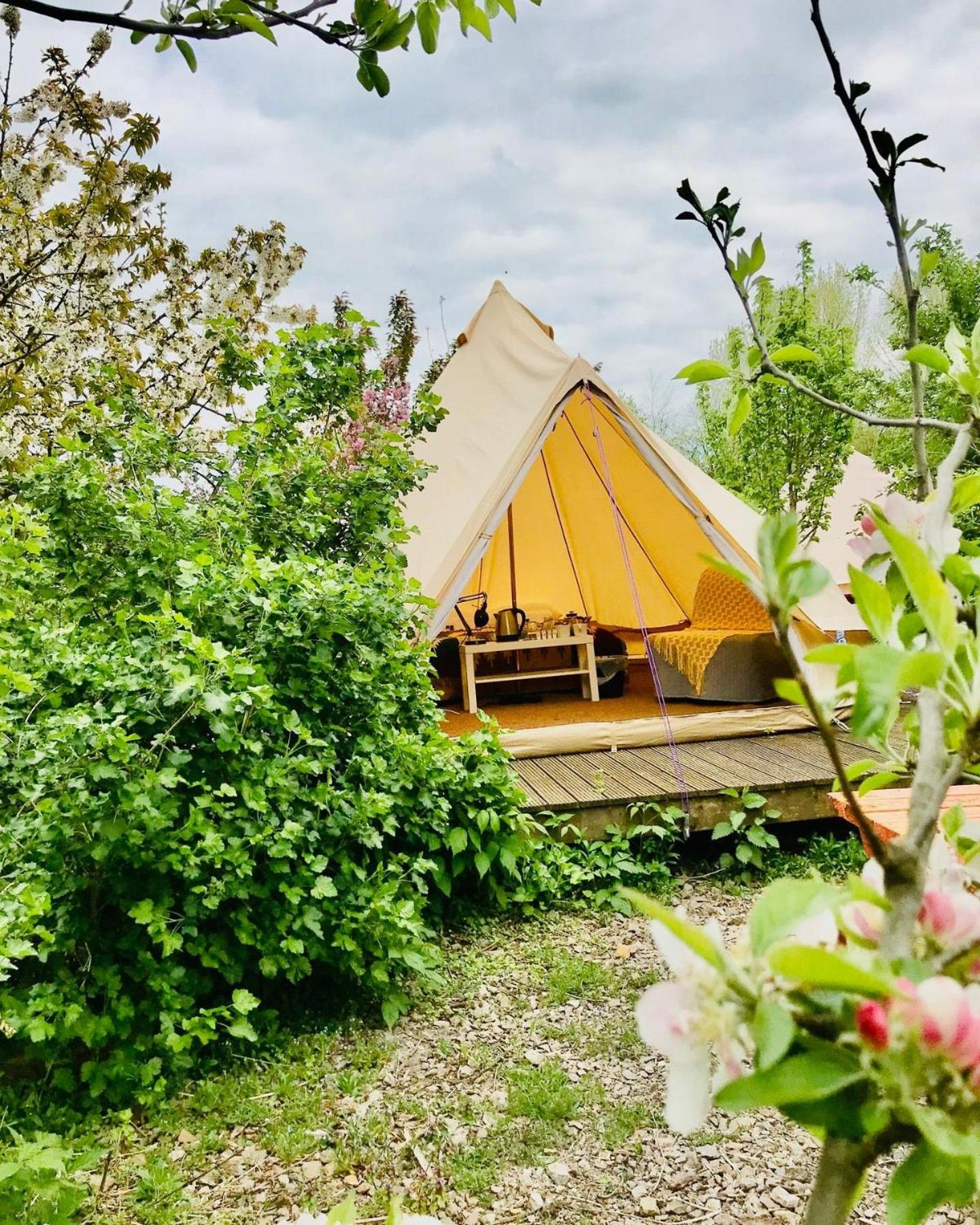 Tent photo 3