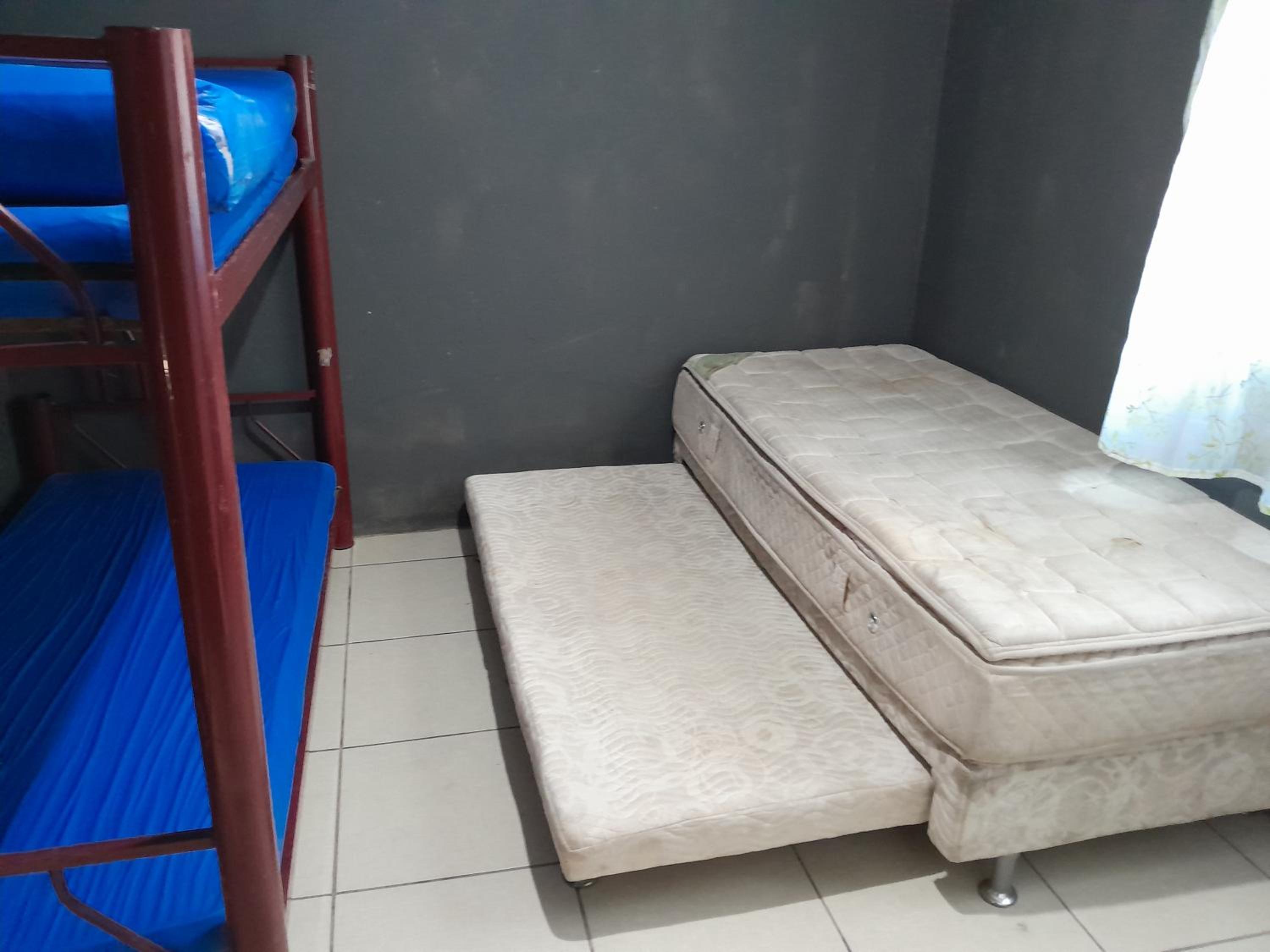 Three-Bedroom House photo 3