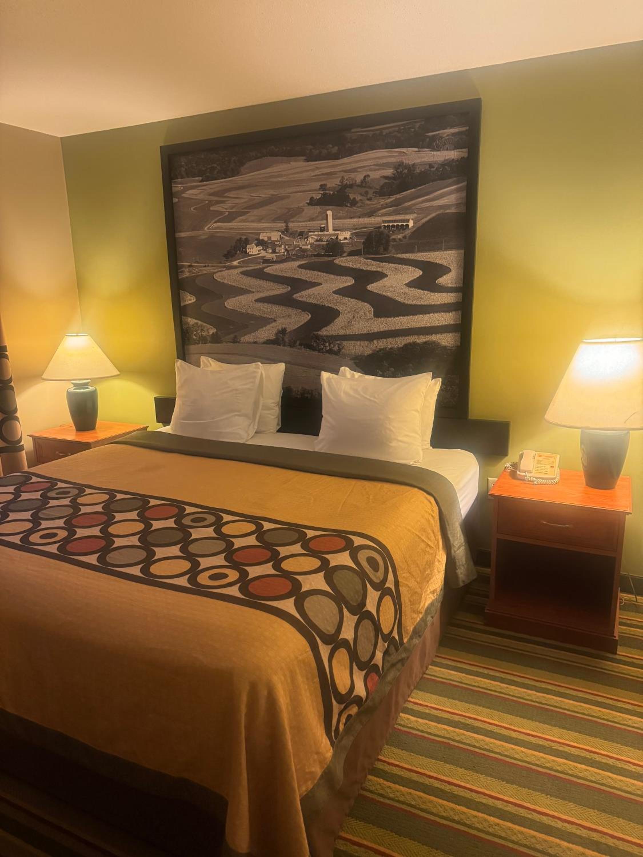 King Room - Pet Friendly/Non-Smoking