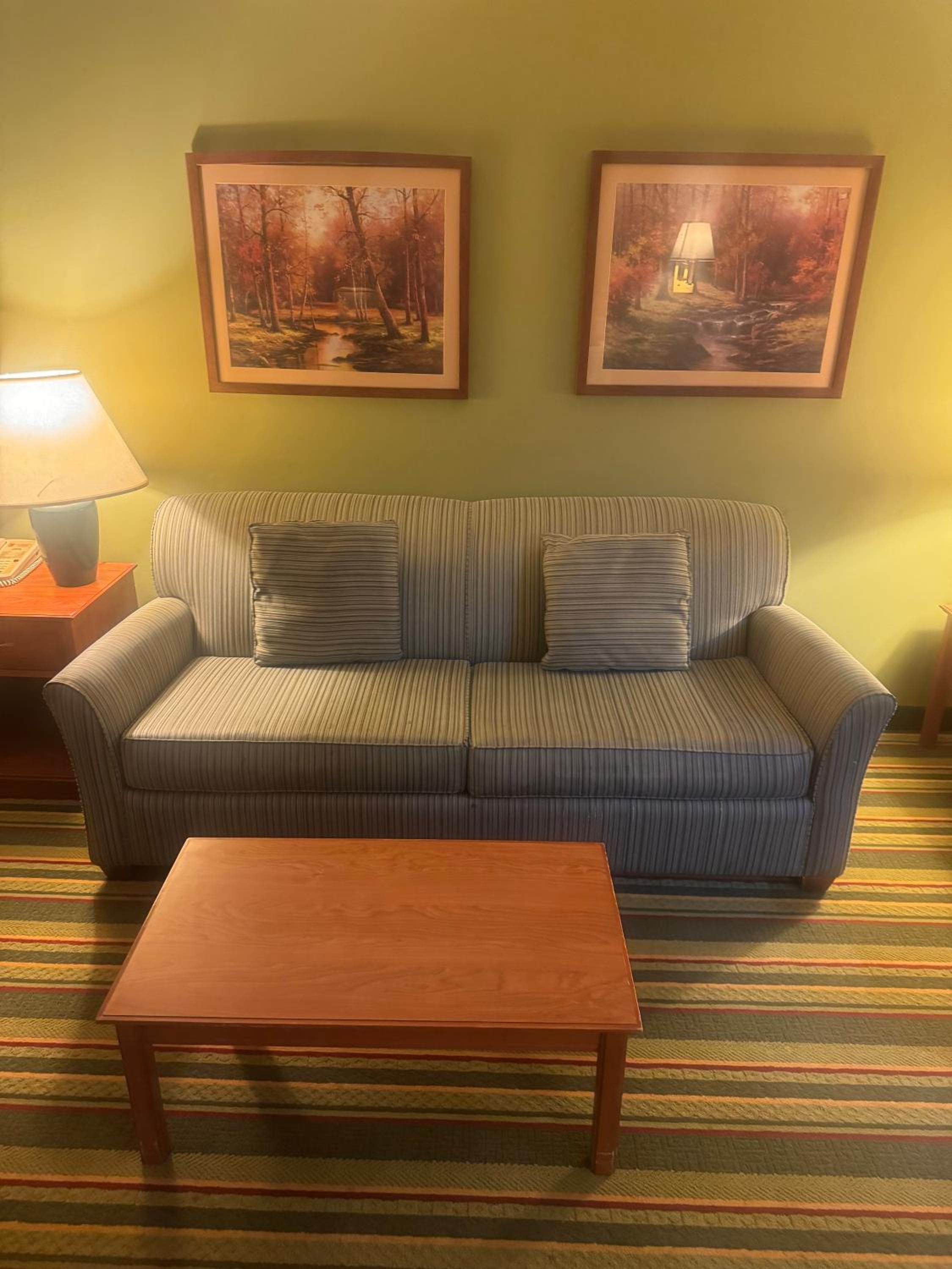 King Room - Pet Friendly/Non-Smoking photo 2