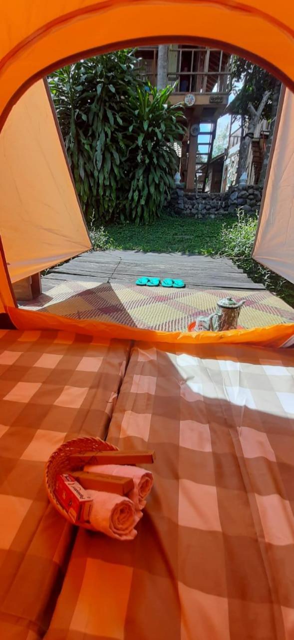 Tent photo 1