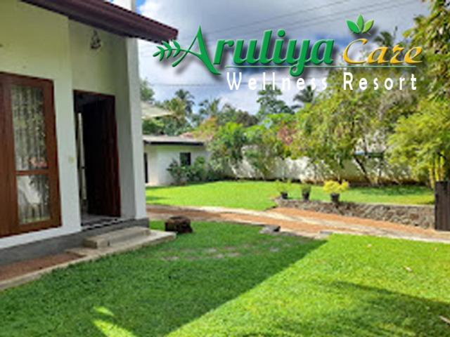 Villa With Garden View