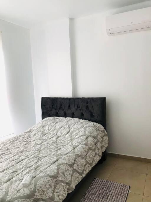 Three-Bedroom Apartment photo 2