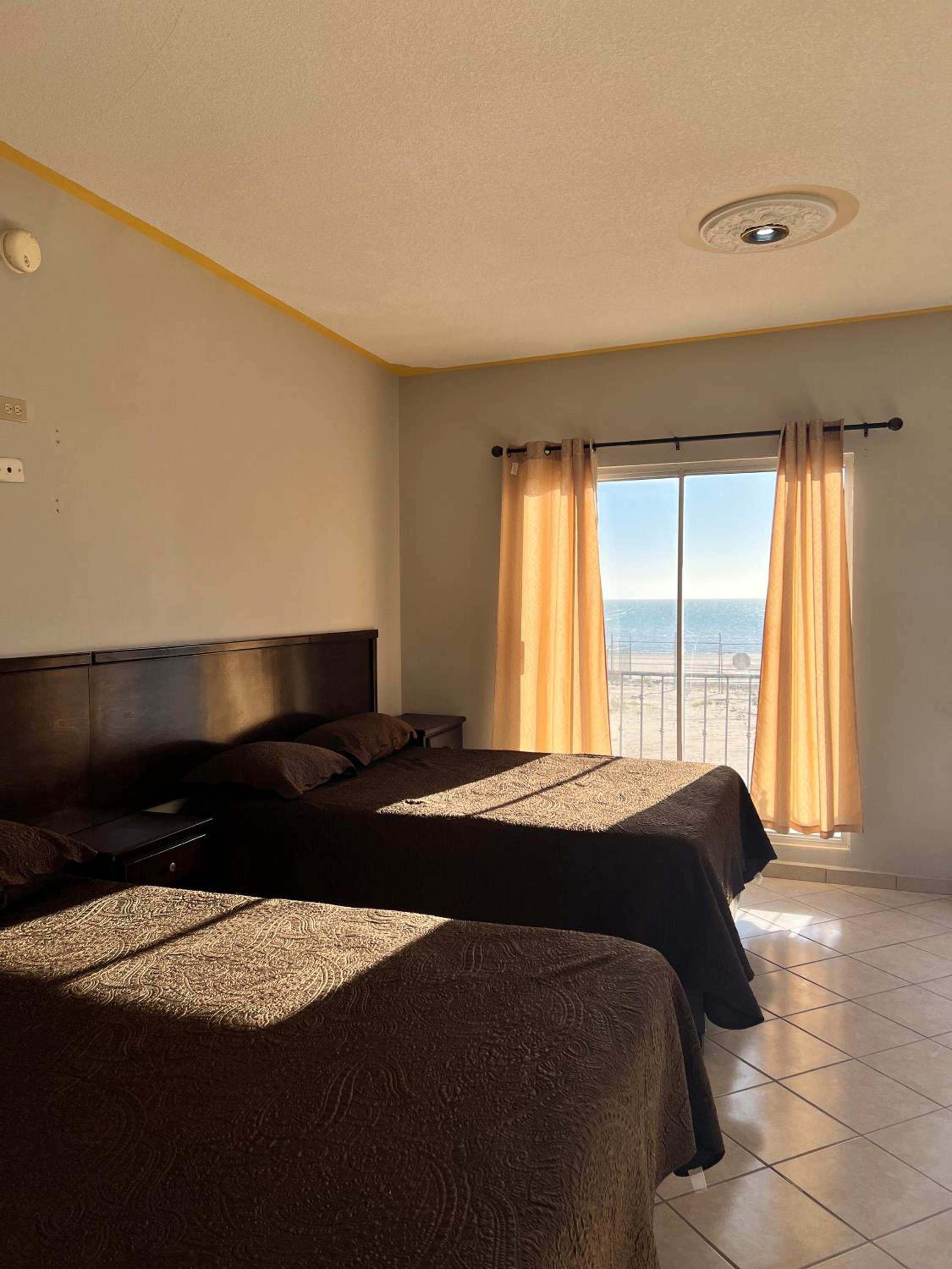 Twin Room photo 3