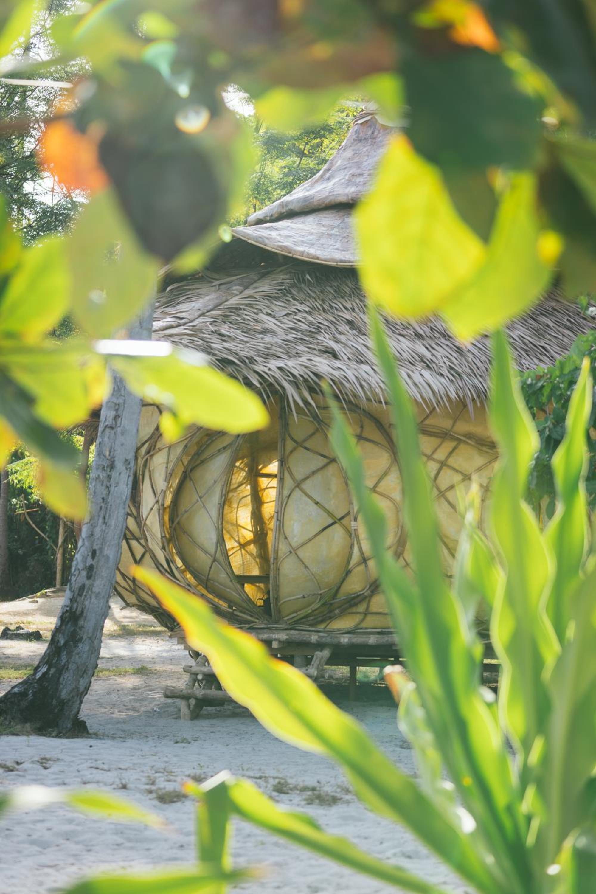 Puno Hut - Photo 2