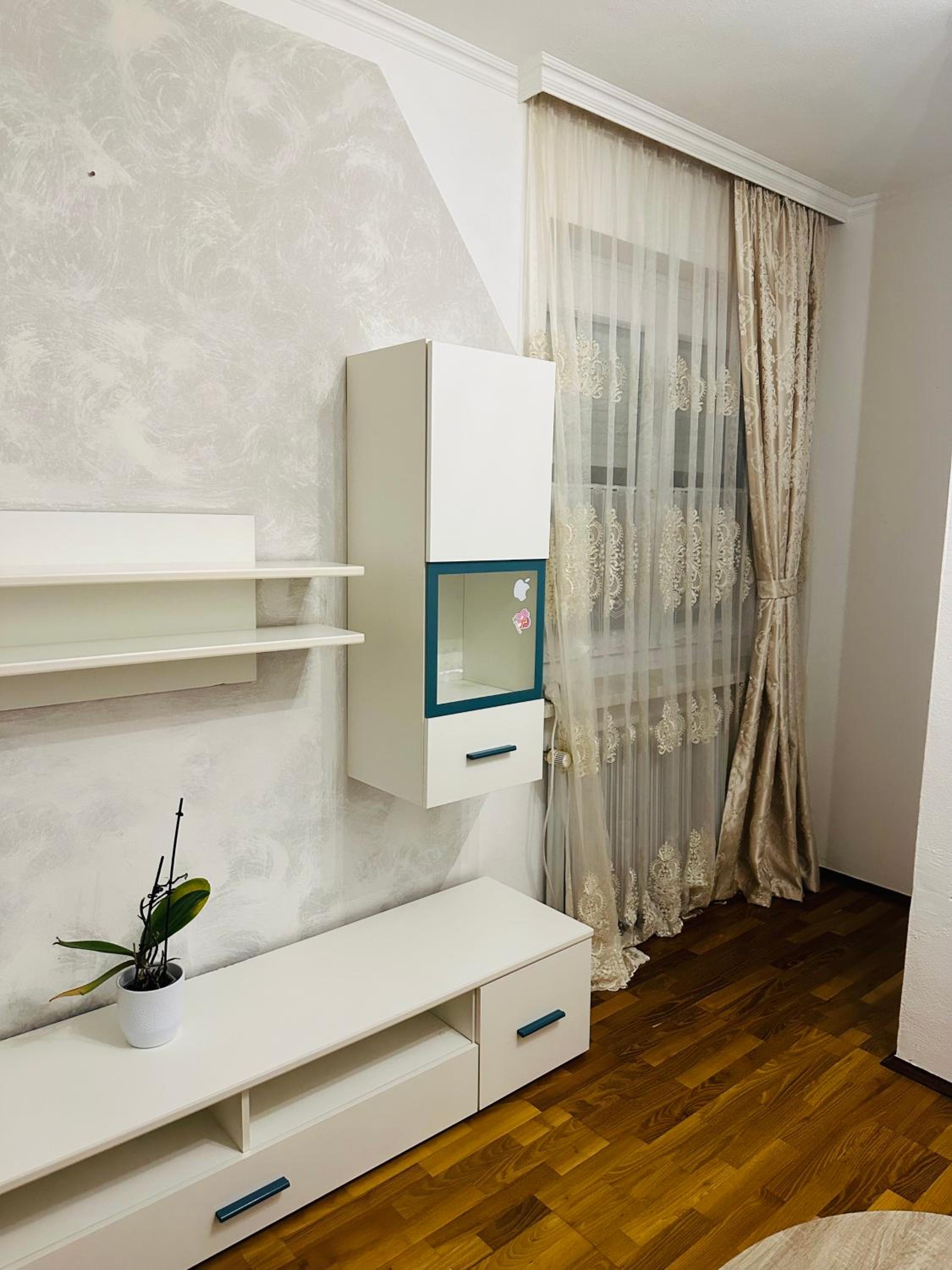 One-Bedroom Apartment photo 3