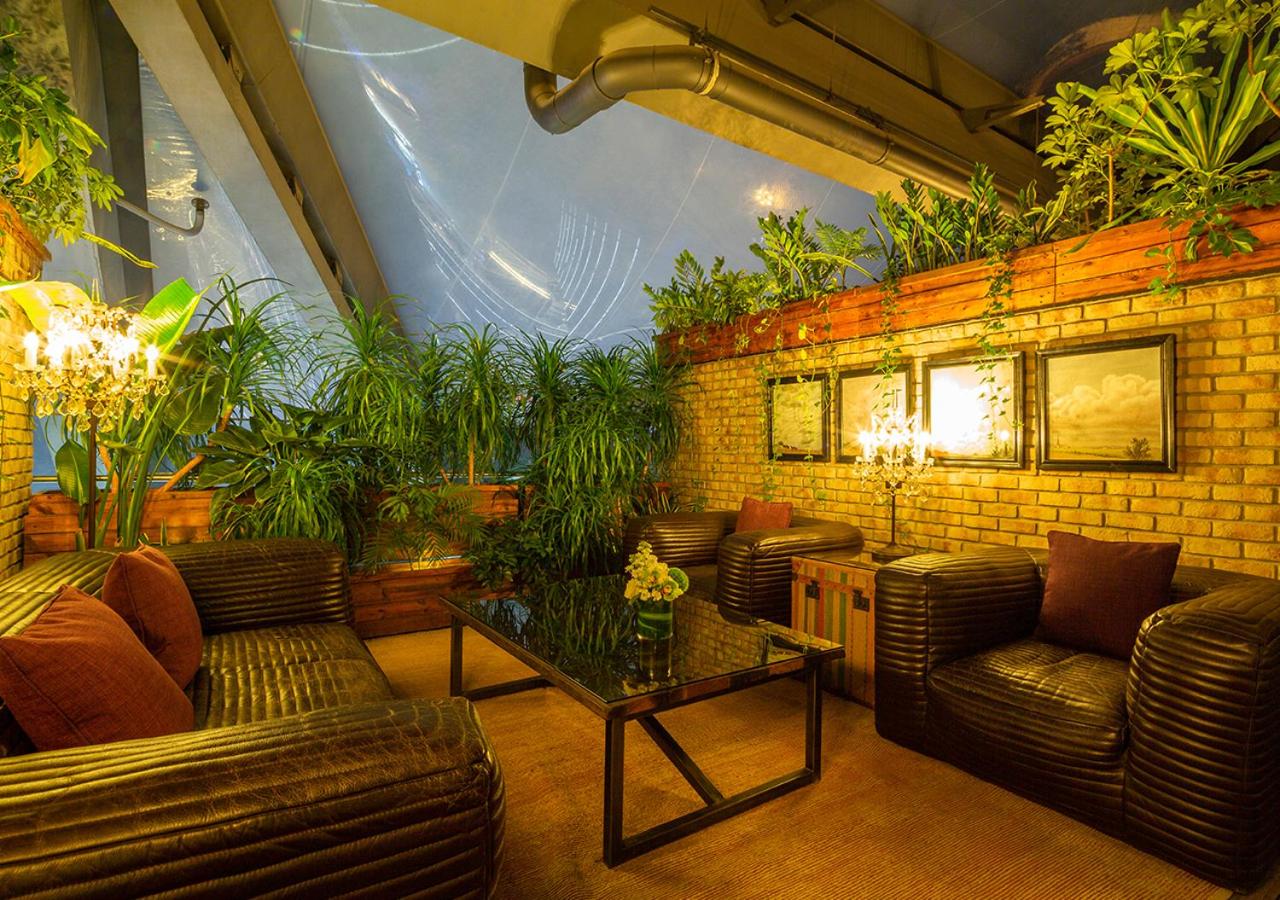 photo of a living room with plants on the walls
