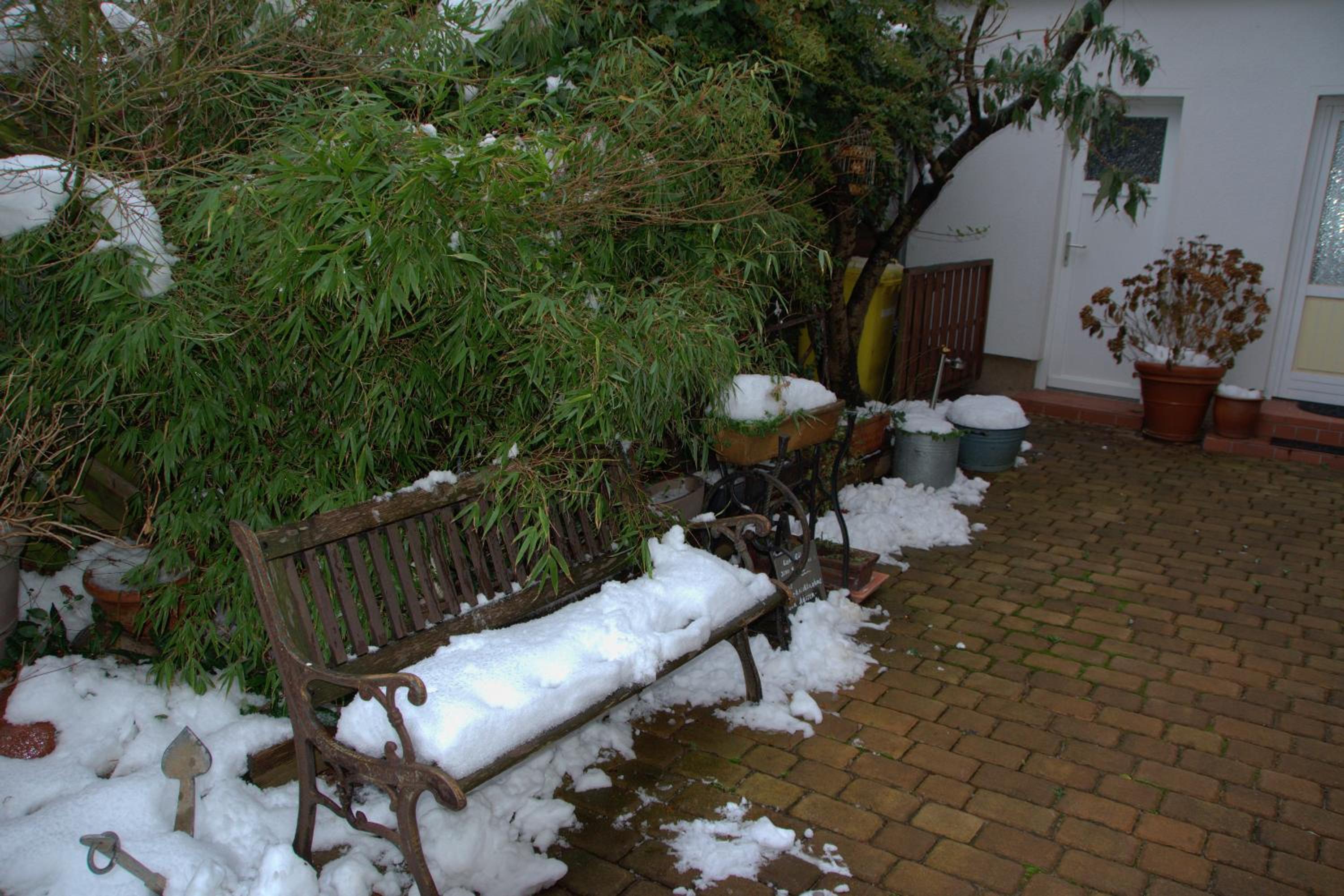 Apartment with Garden View photo 3