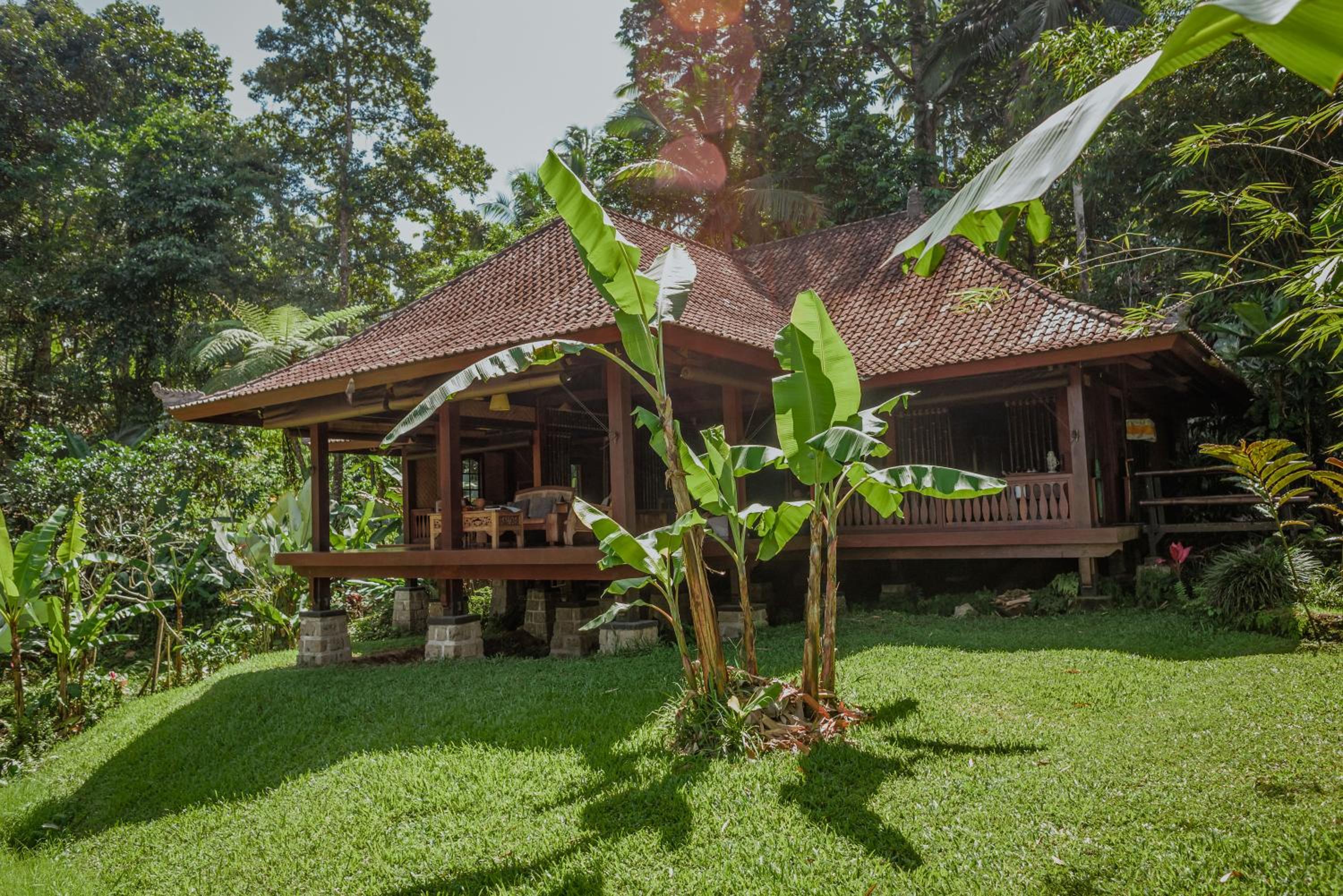 Deluxe Villa photo 2