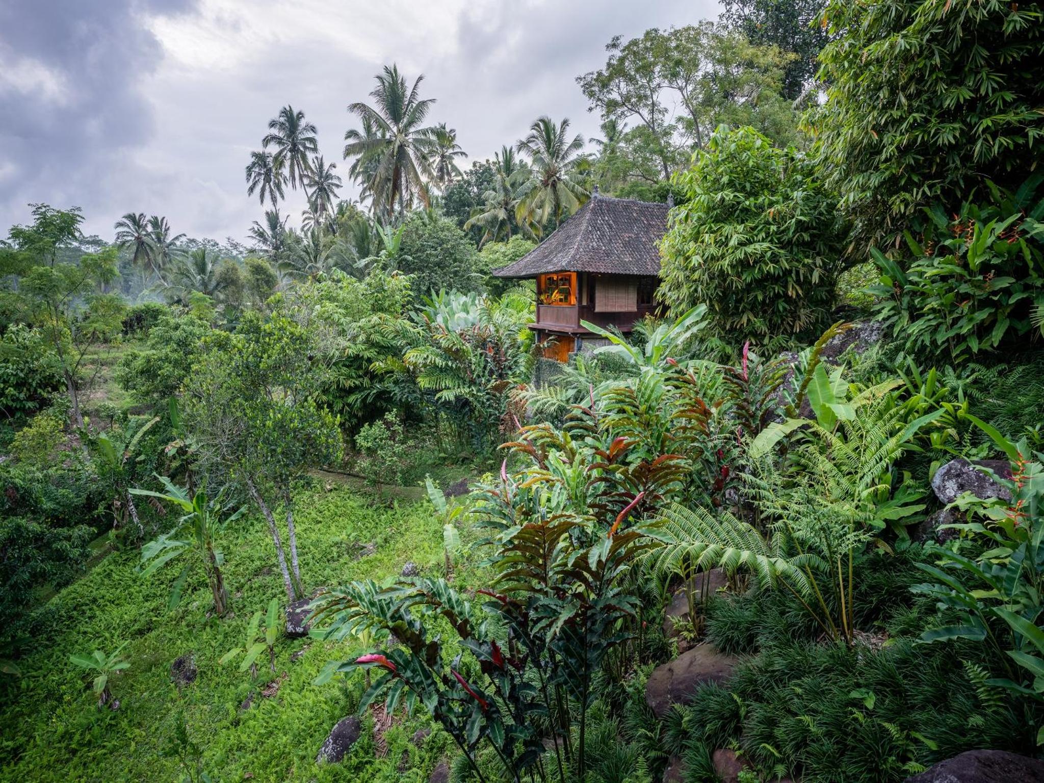 Superior Villa photo 2