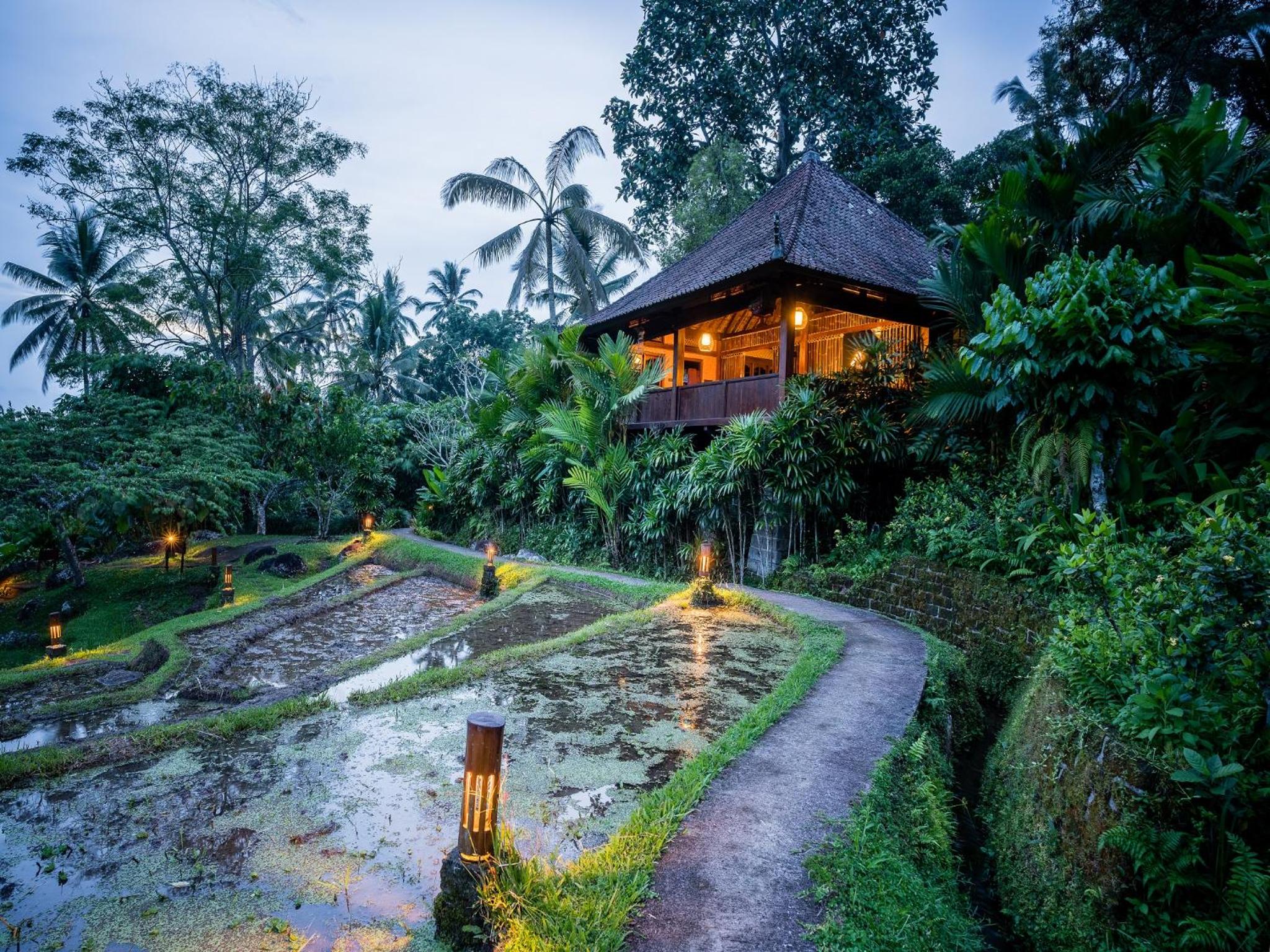 Superior Villa photo 2