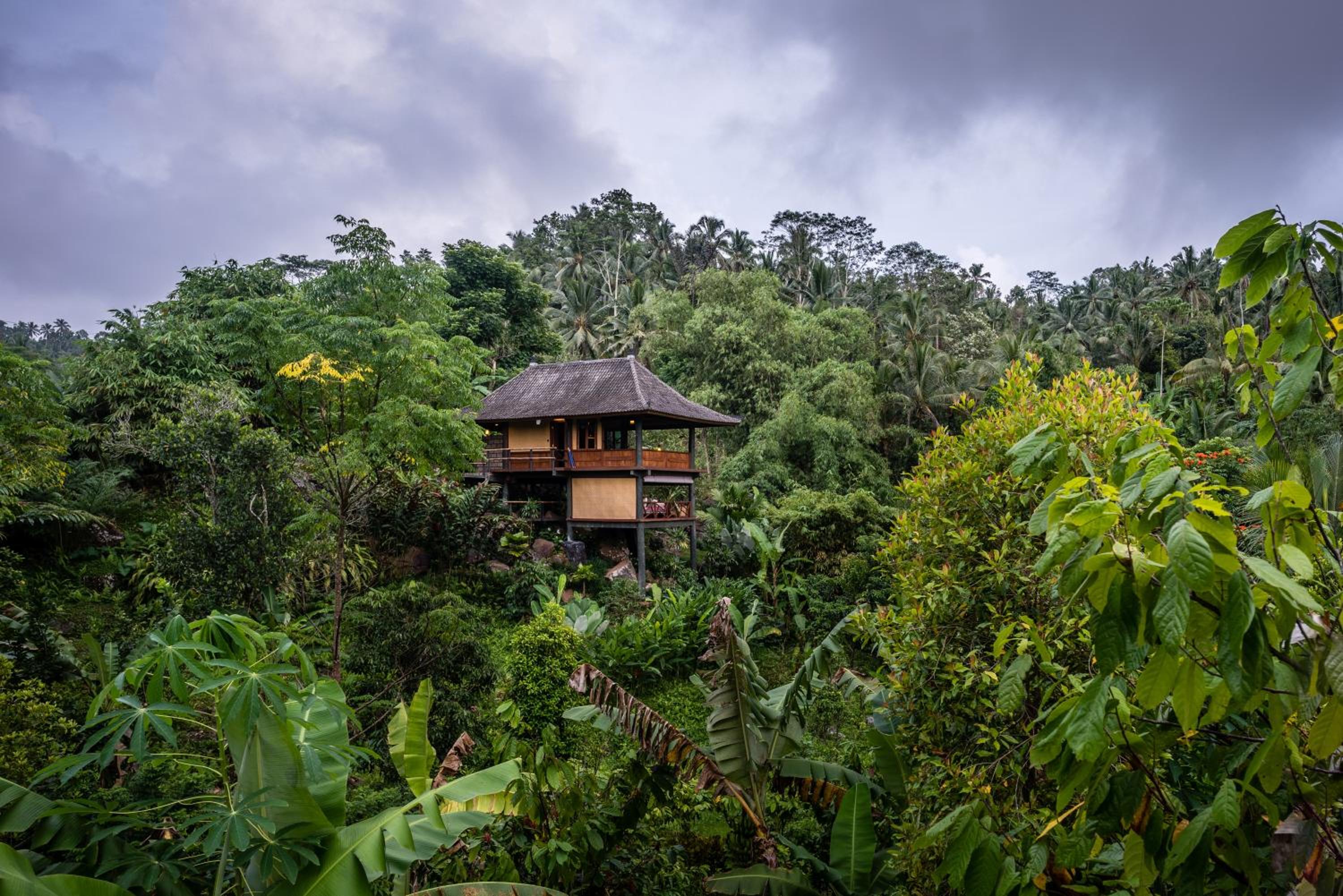 Deluxe Villa photo 2