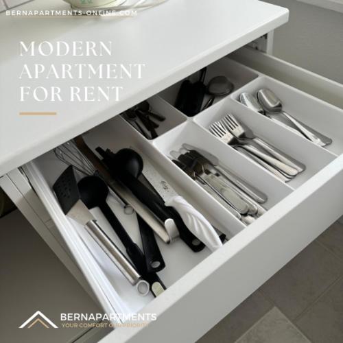 Three-Bedroom Apartment - Photo 16