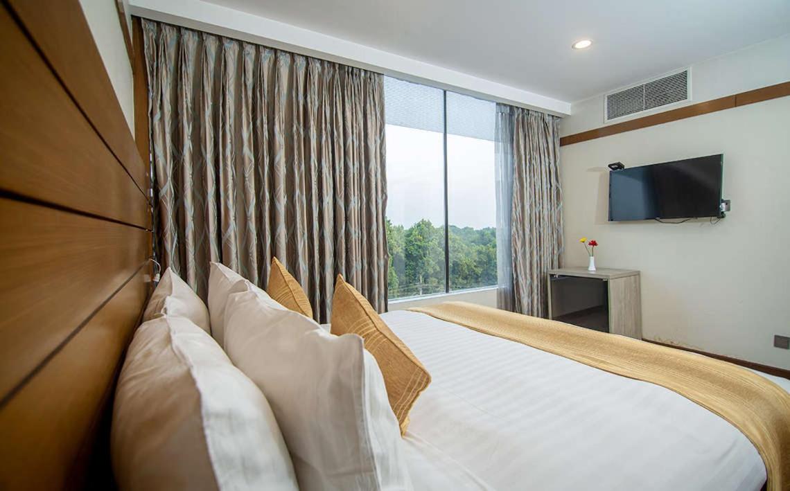 Presidential Suite photo 1