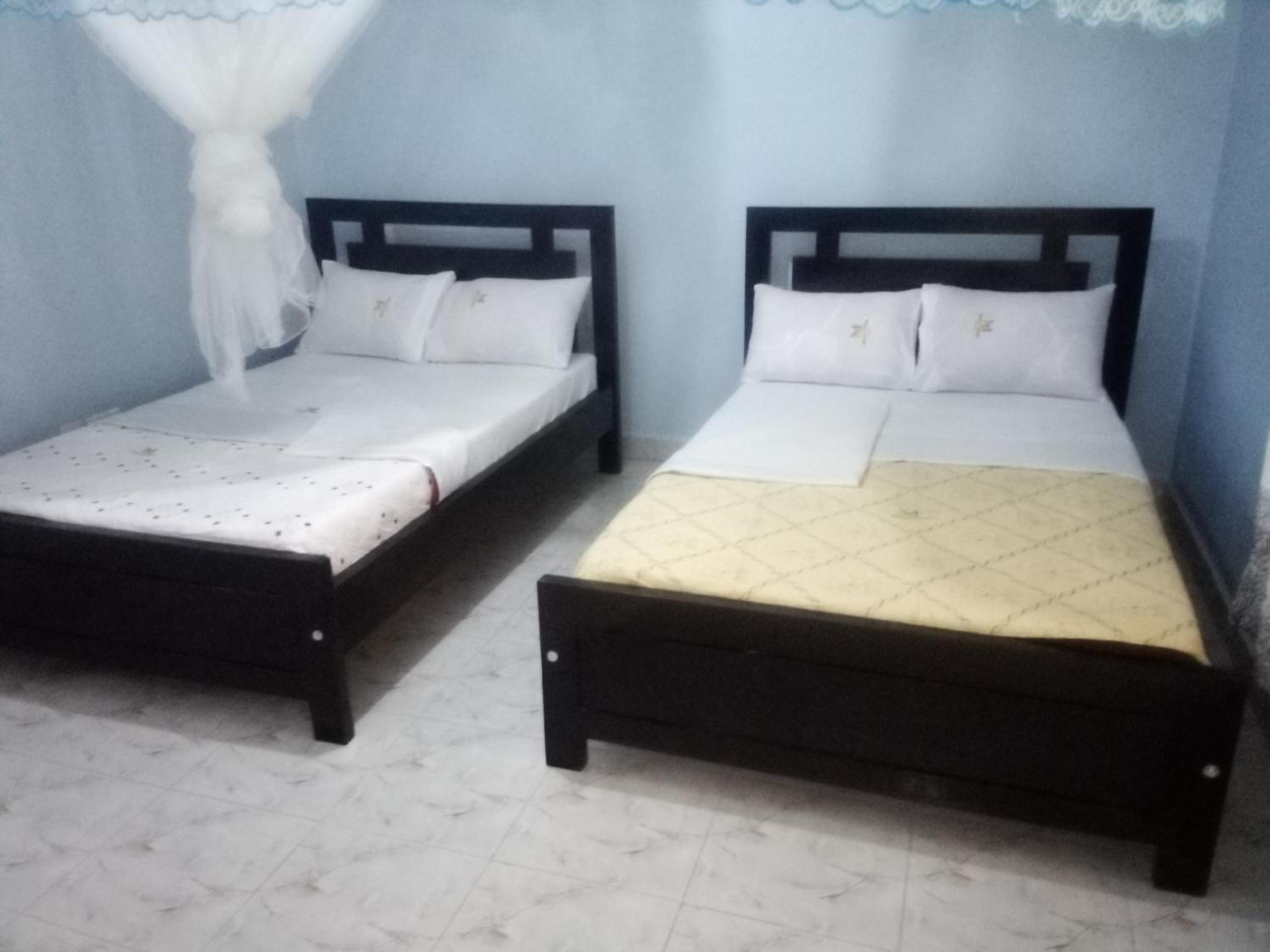 Twin Room photo 3