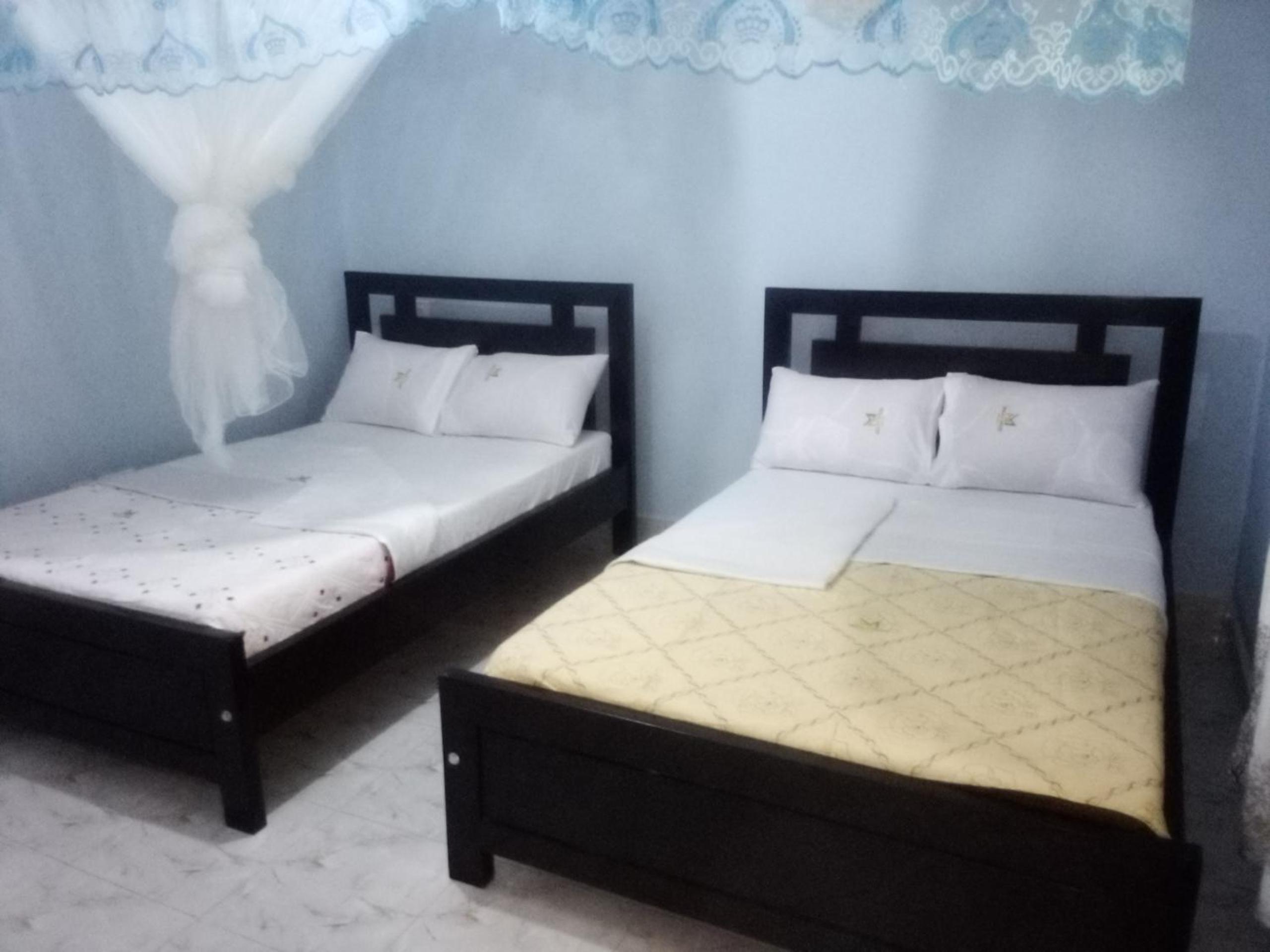 Twin Room photo 1