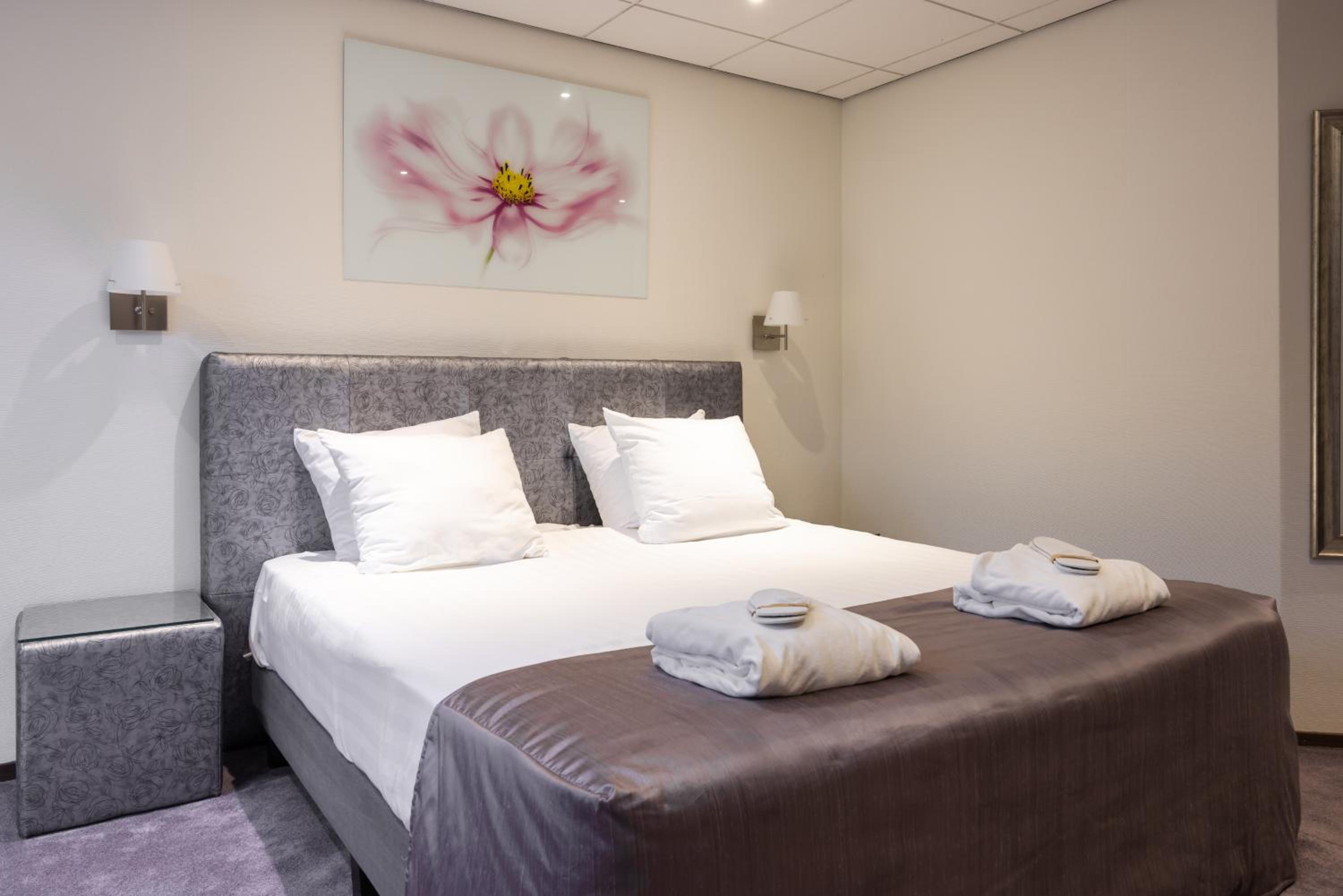 Suite - Photo 1