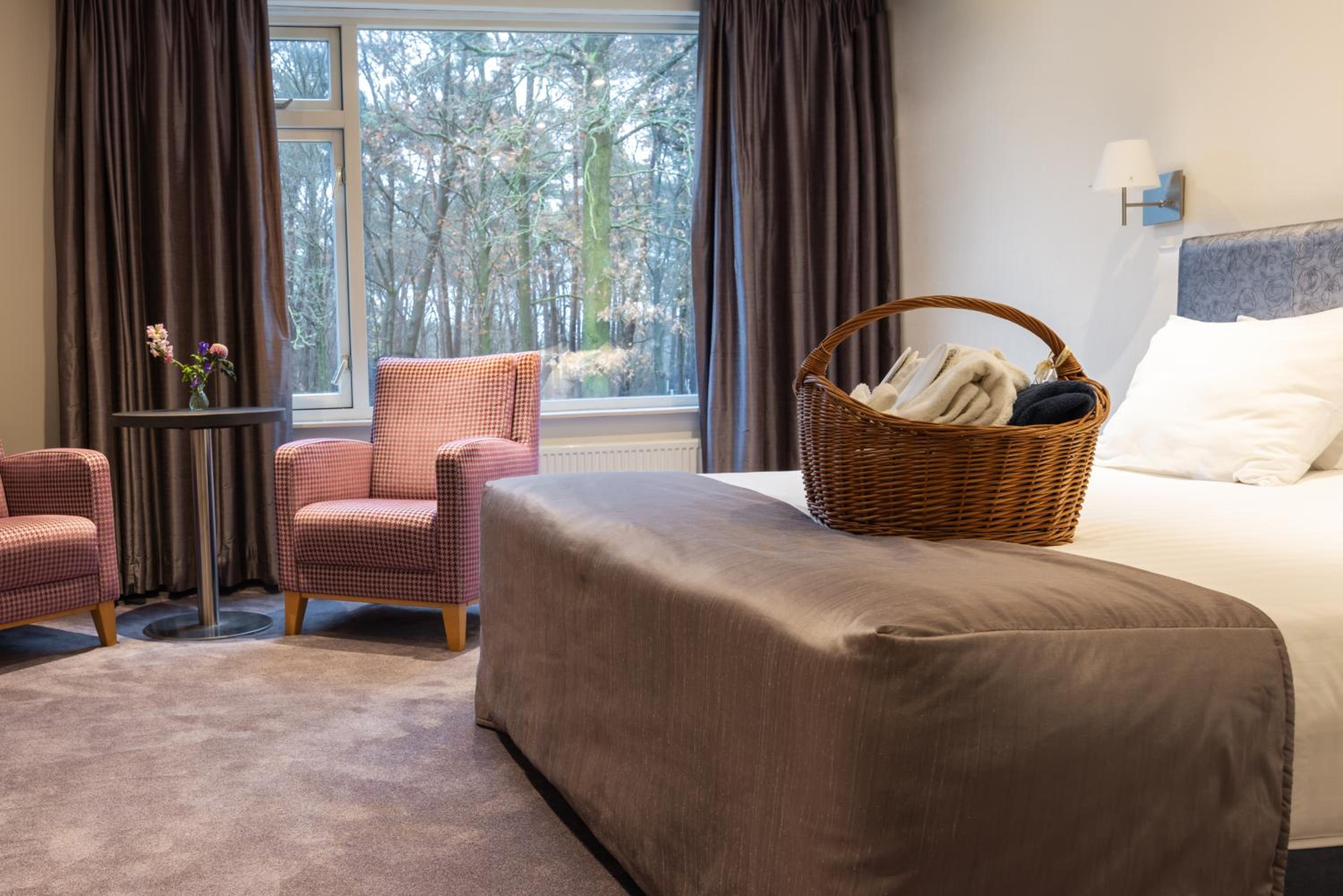 Suite - Photo 2