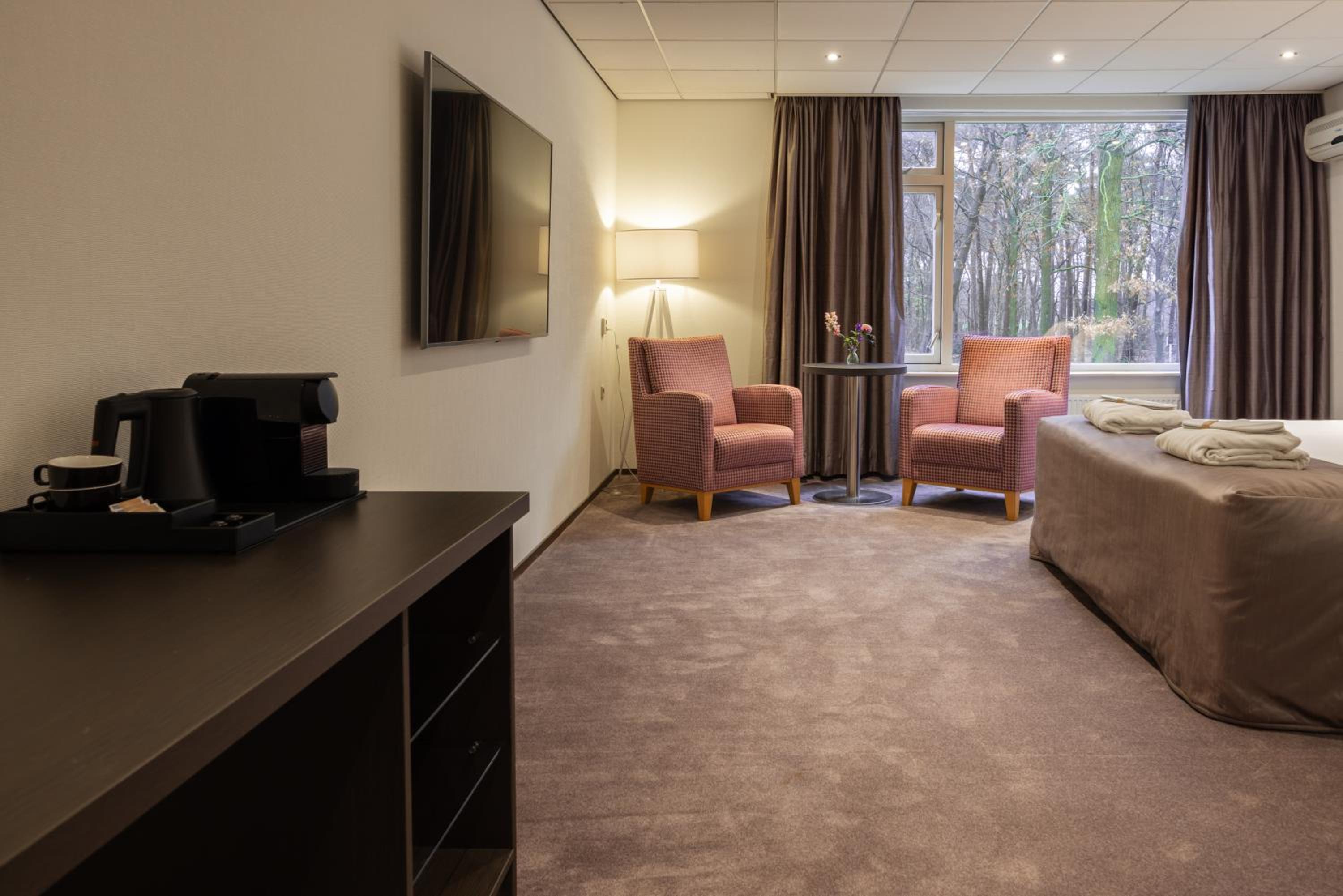 Suite - Photo 4