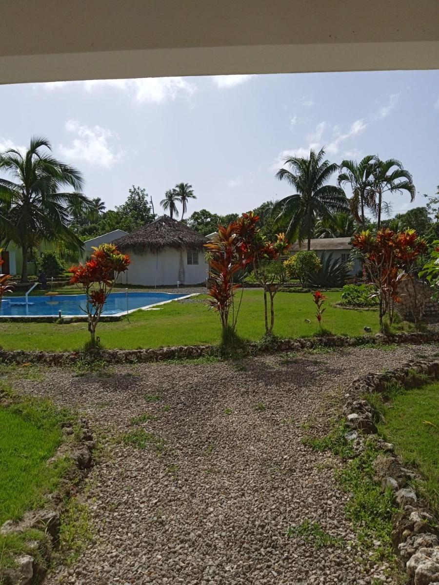Double Room with Pool View photo 3