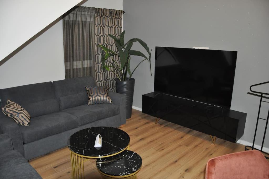 One-Bedroom Apartment photo 3
