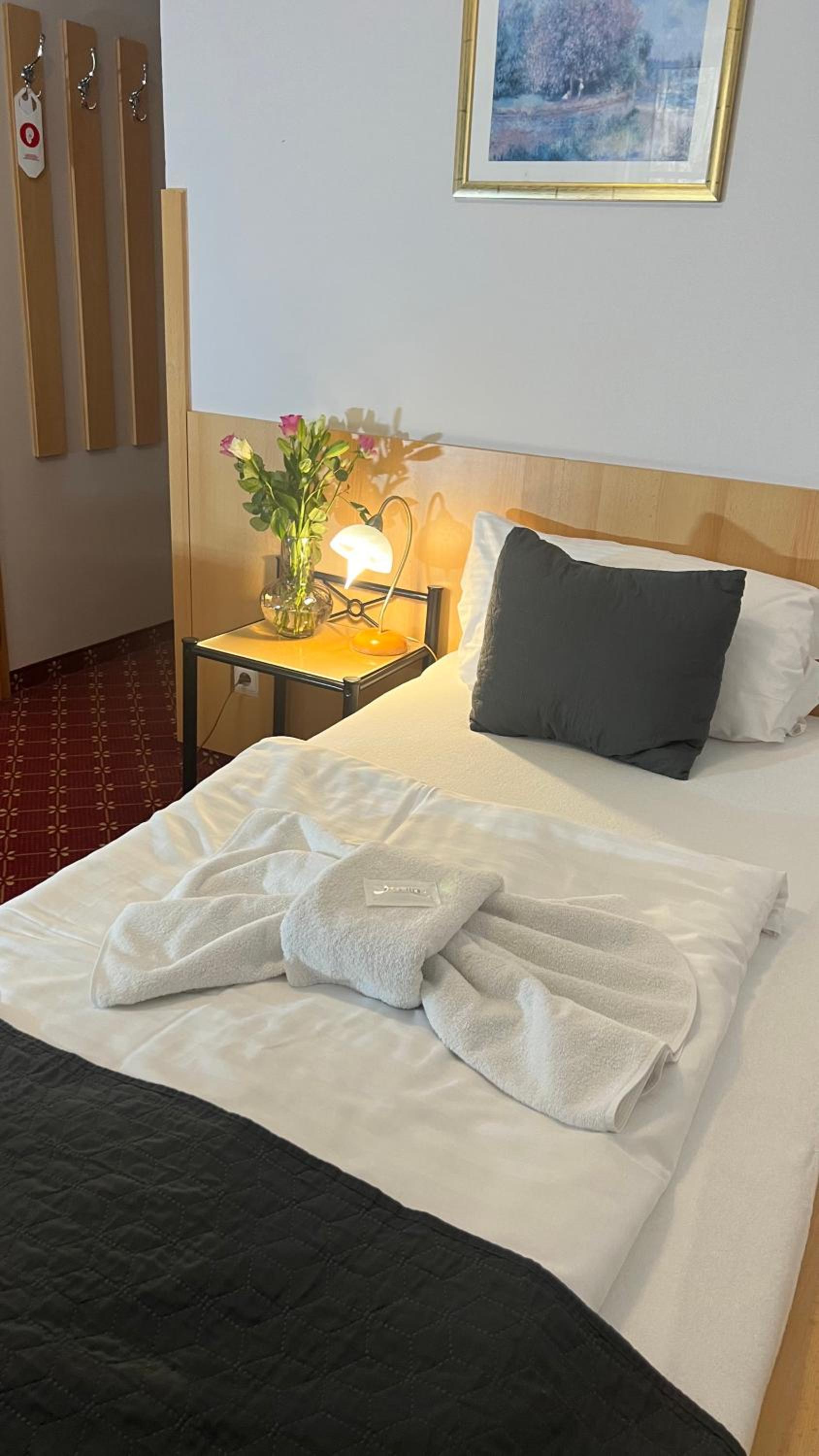 Single Room photo 2
