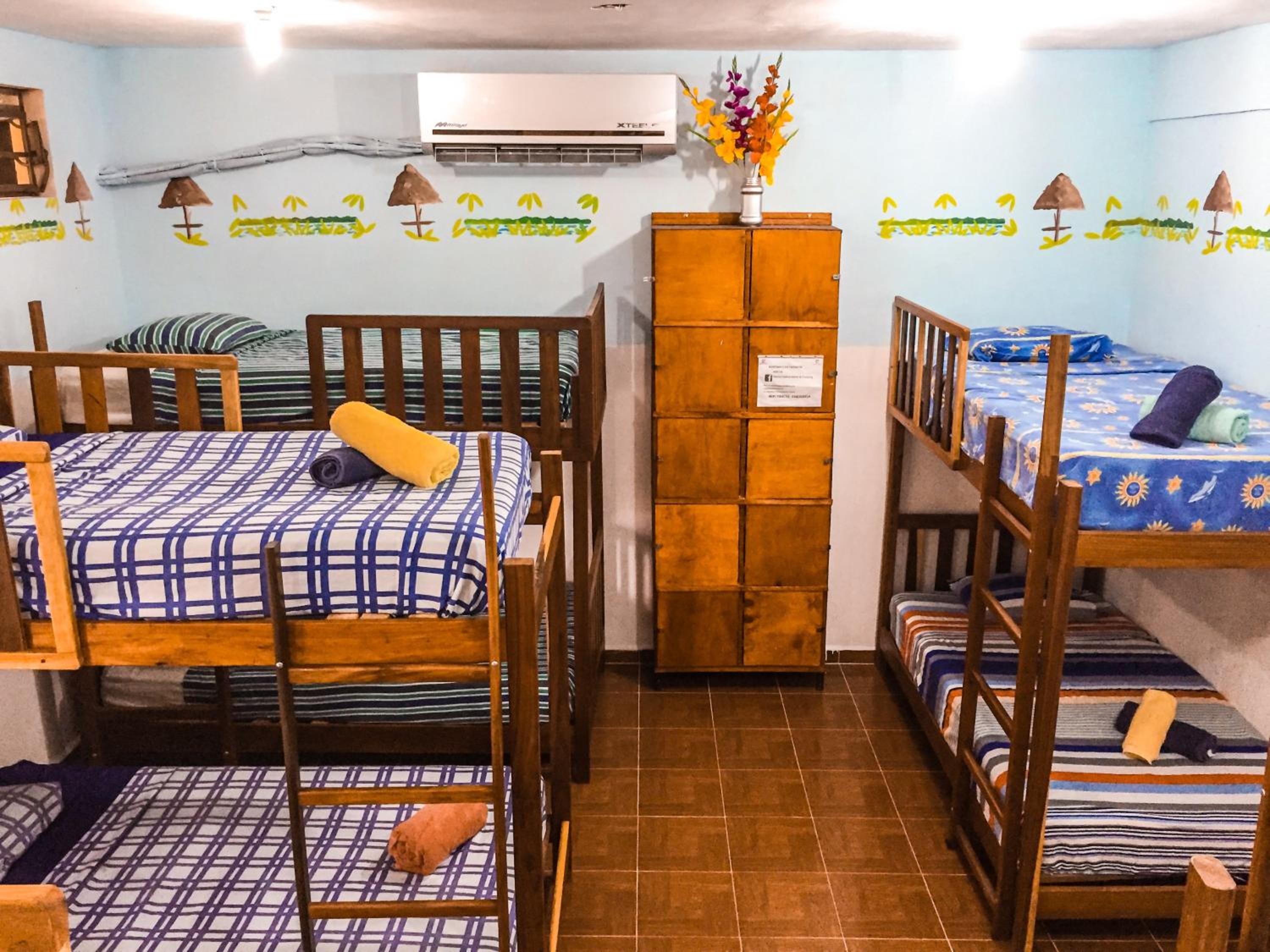 Single Bed in Mixed Dormitory Room photo 1