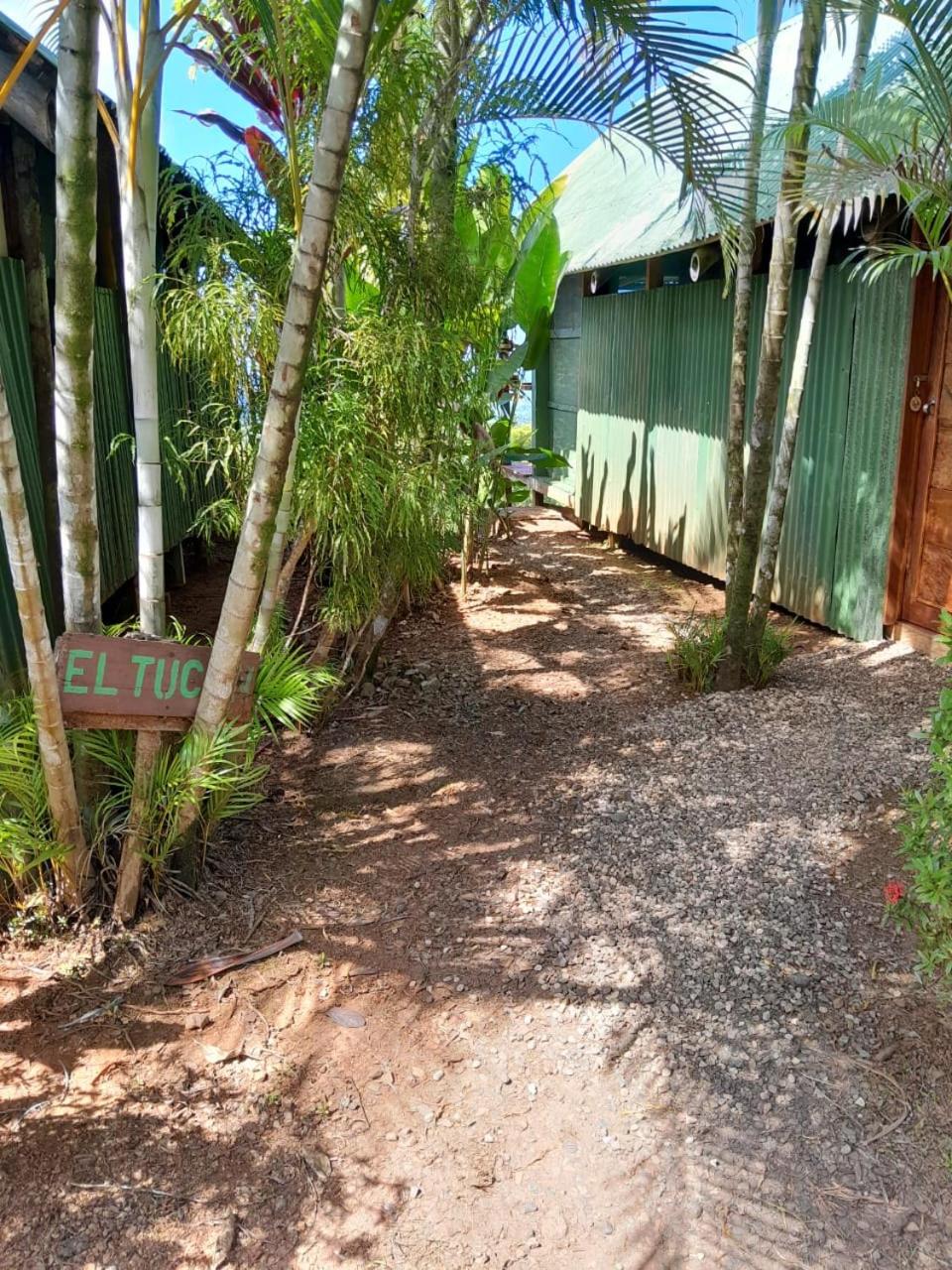 Bungalow with Garden View photo 2