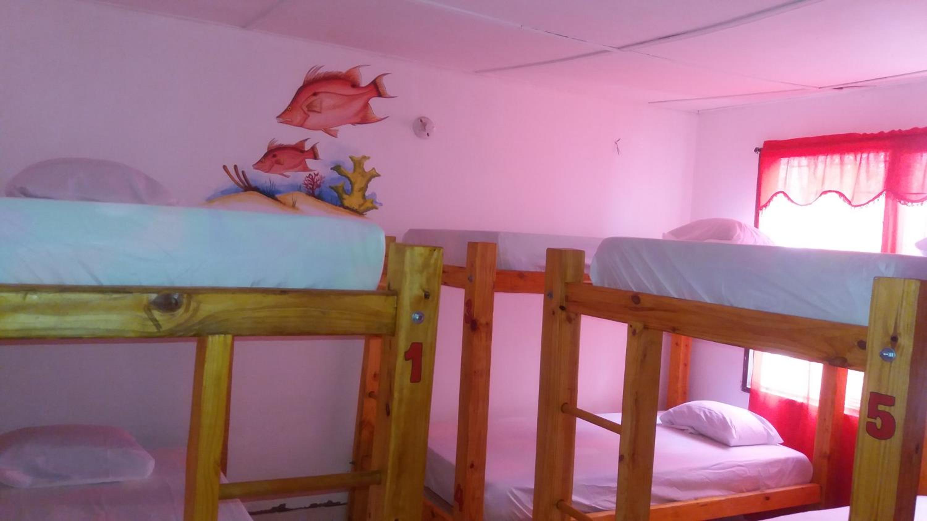 Bed In 6-Bed Mixed Dormitory Room photo 1