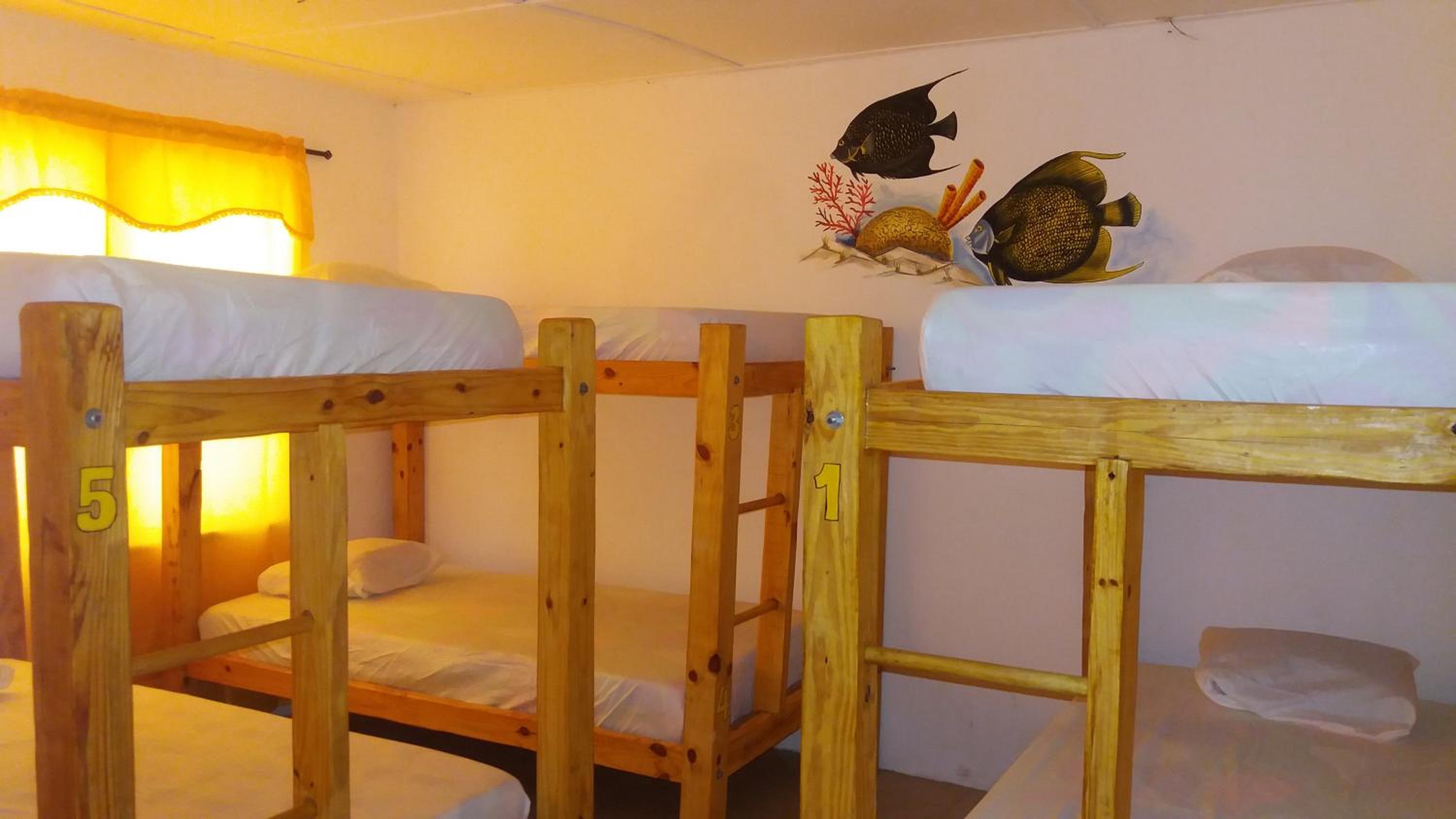 Bed In 6-Bed Mixed Dormitory Room photo 1