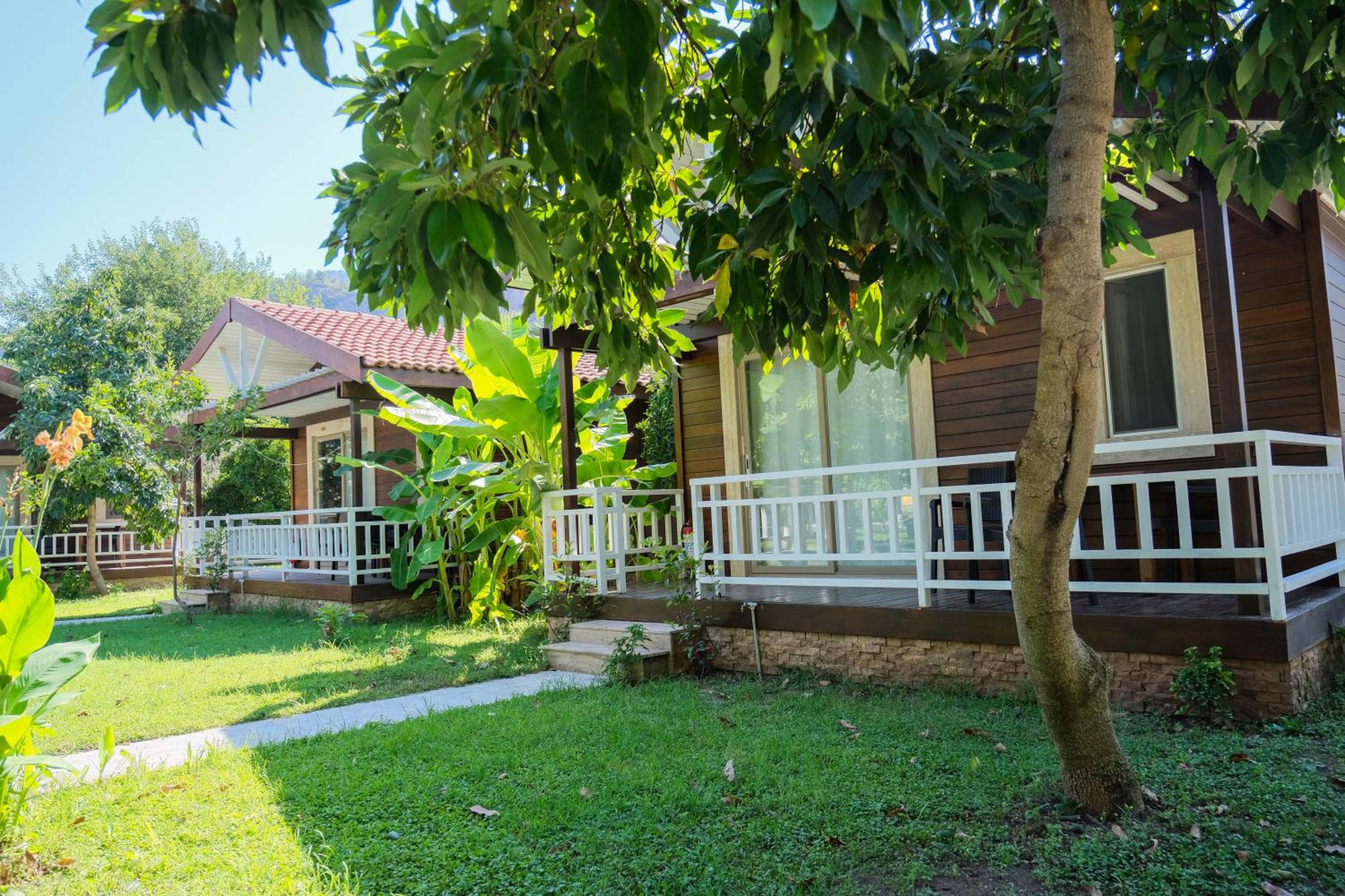 Deluxe Bungalow photo 2