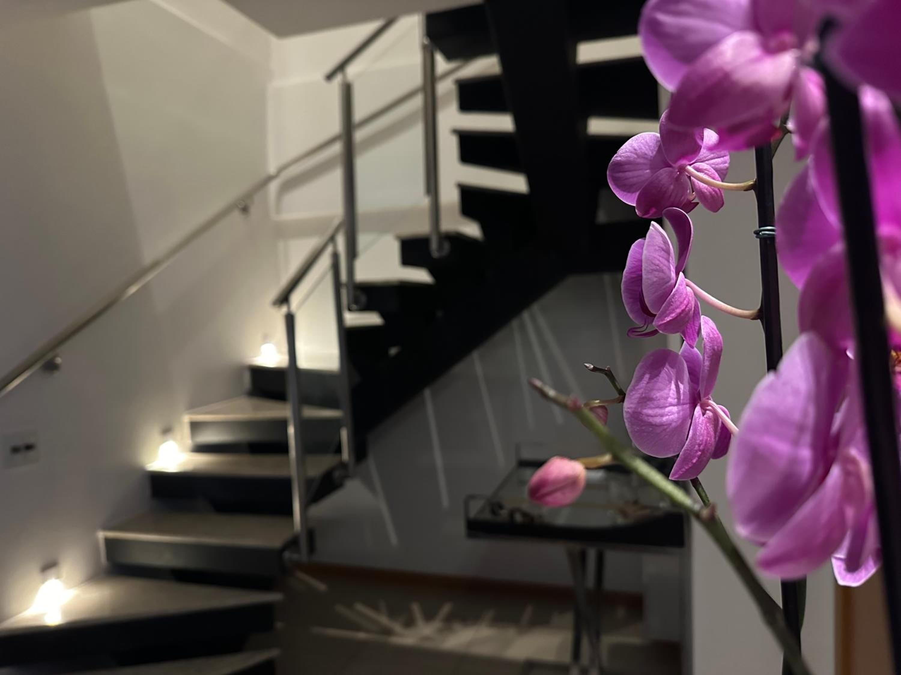 Duplex Apartment - Photo 28