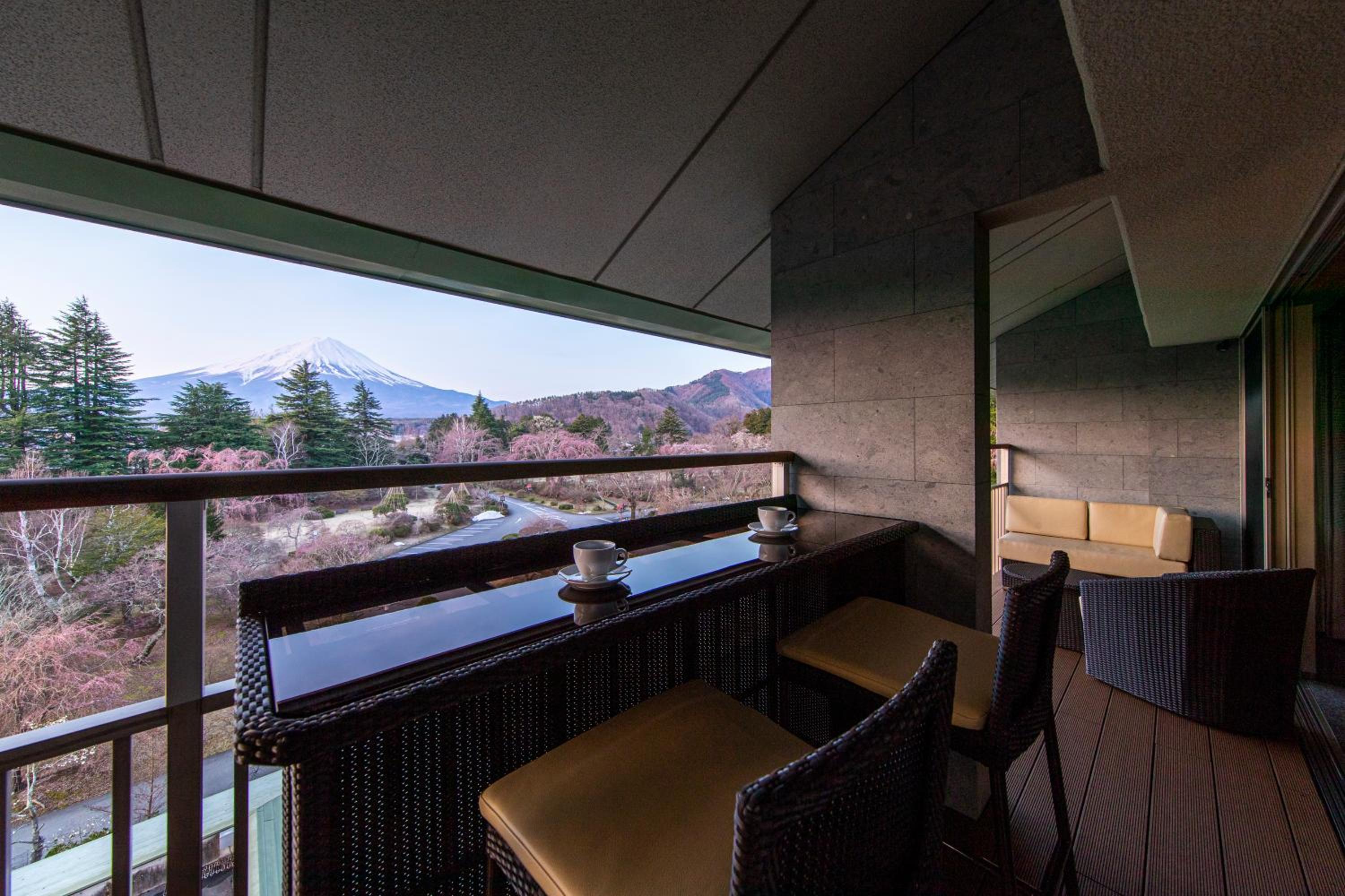 Junior Suite with Open-air Bath