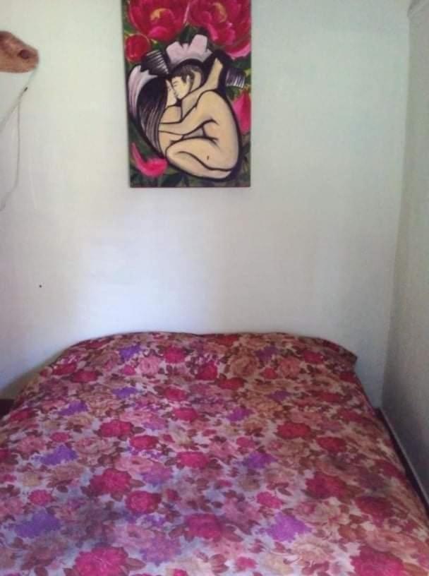 One-Bedroom House photo 1