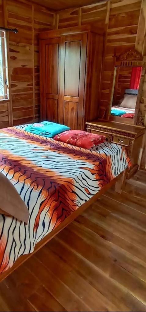 Double Room with Terrace photo 1