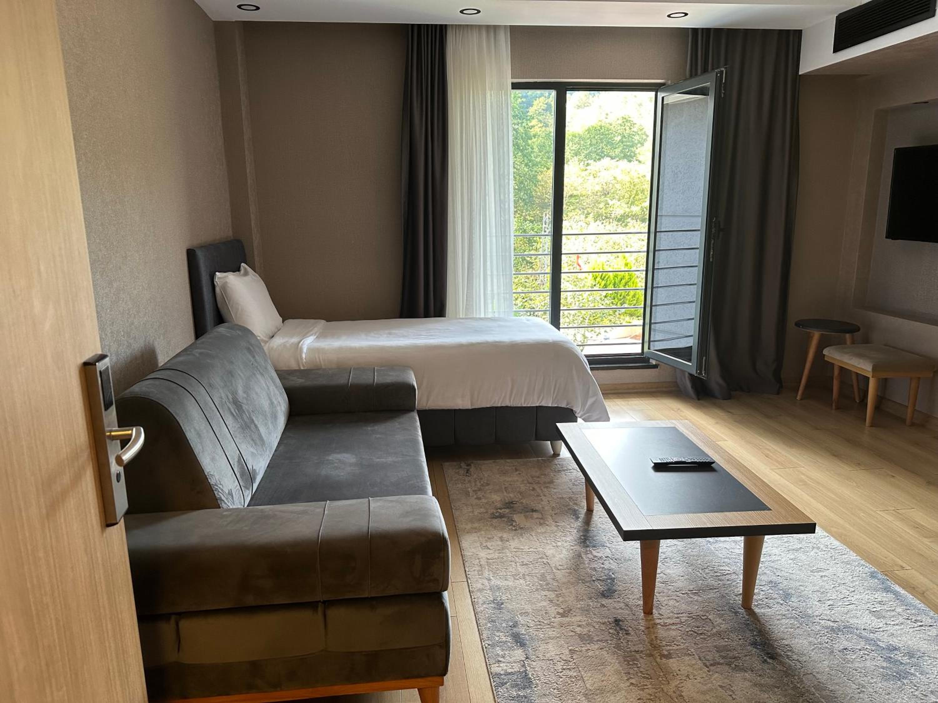 Superior Suite - Photo 10