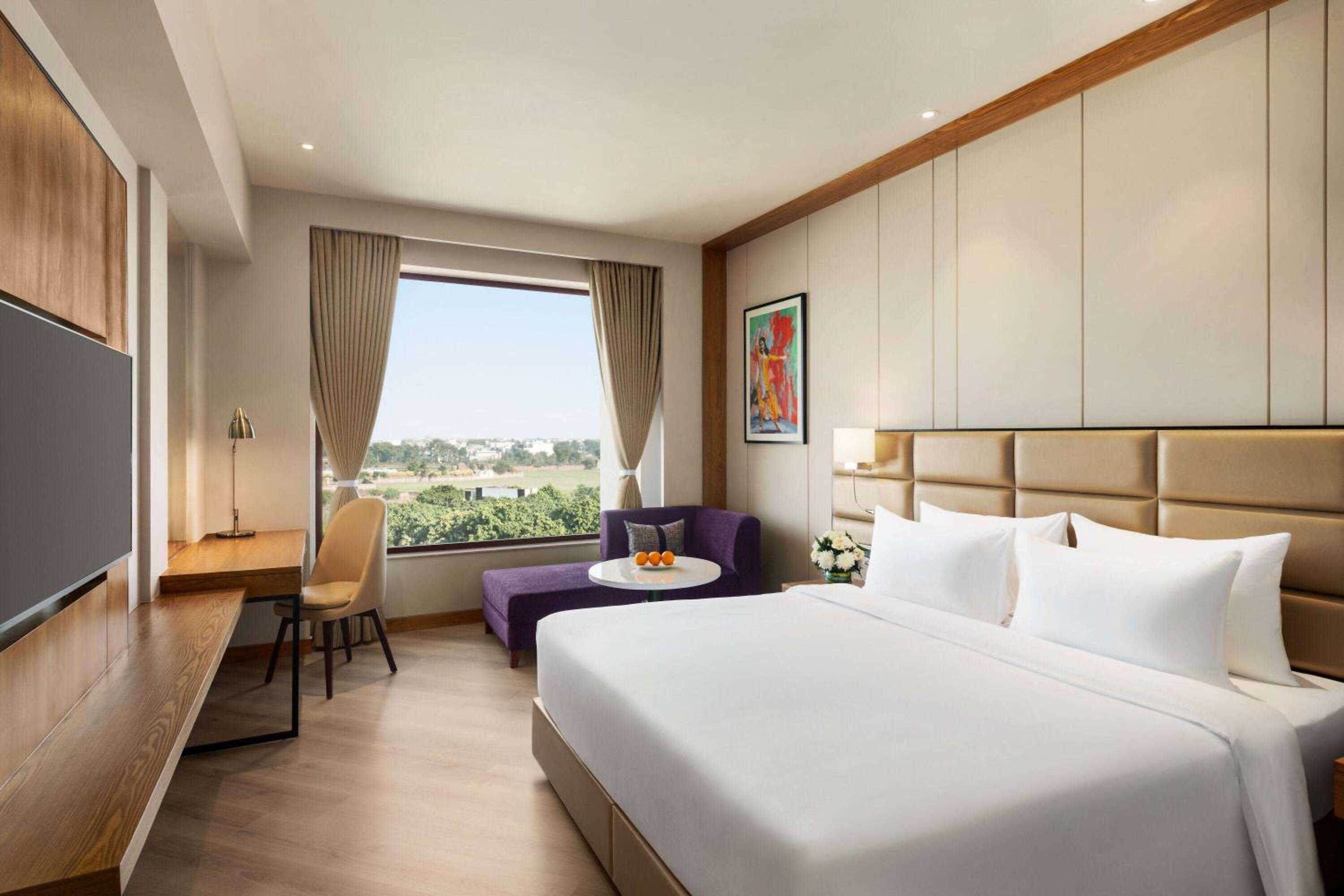Deluxe King Room with City View - Photo 1