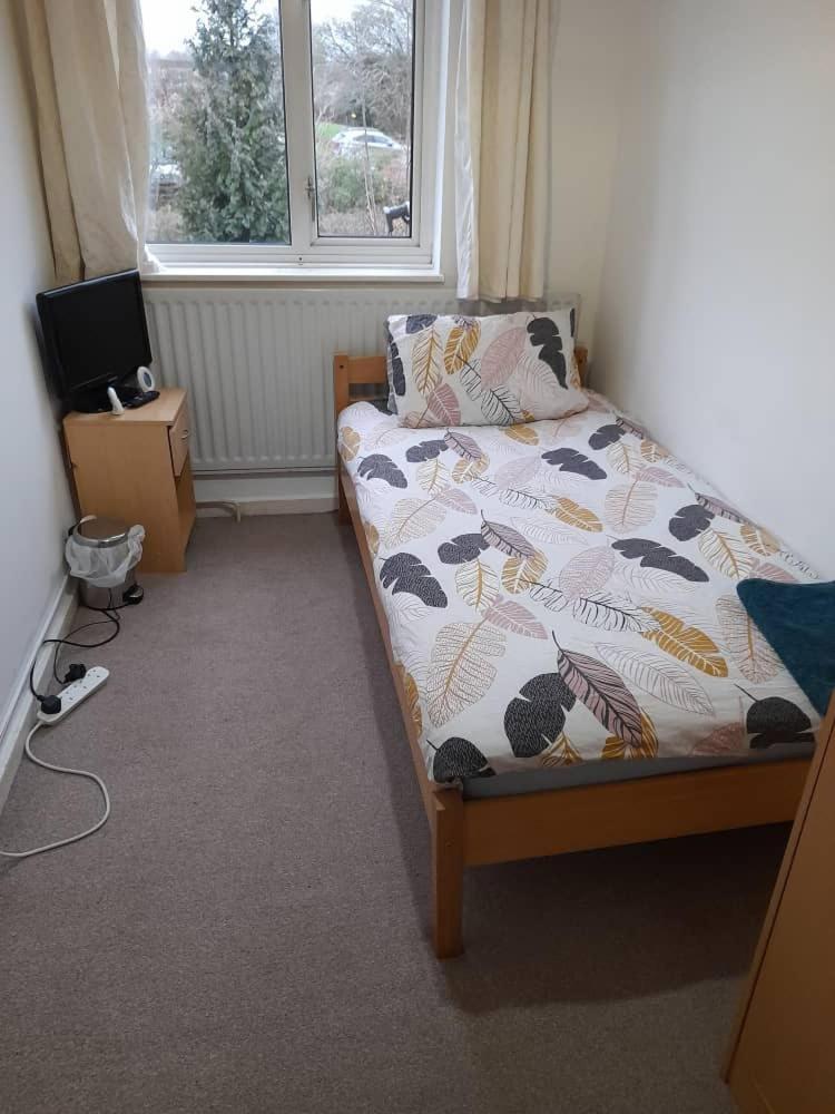 Single Room photo 1