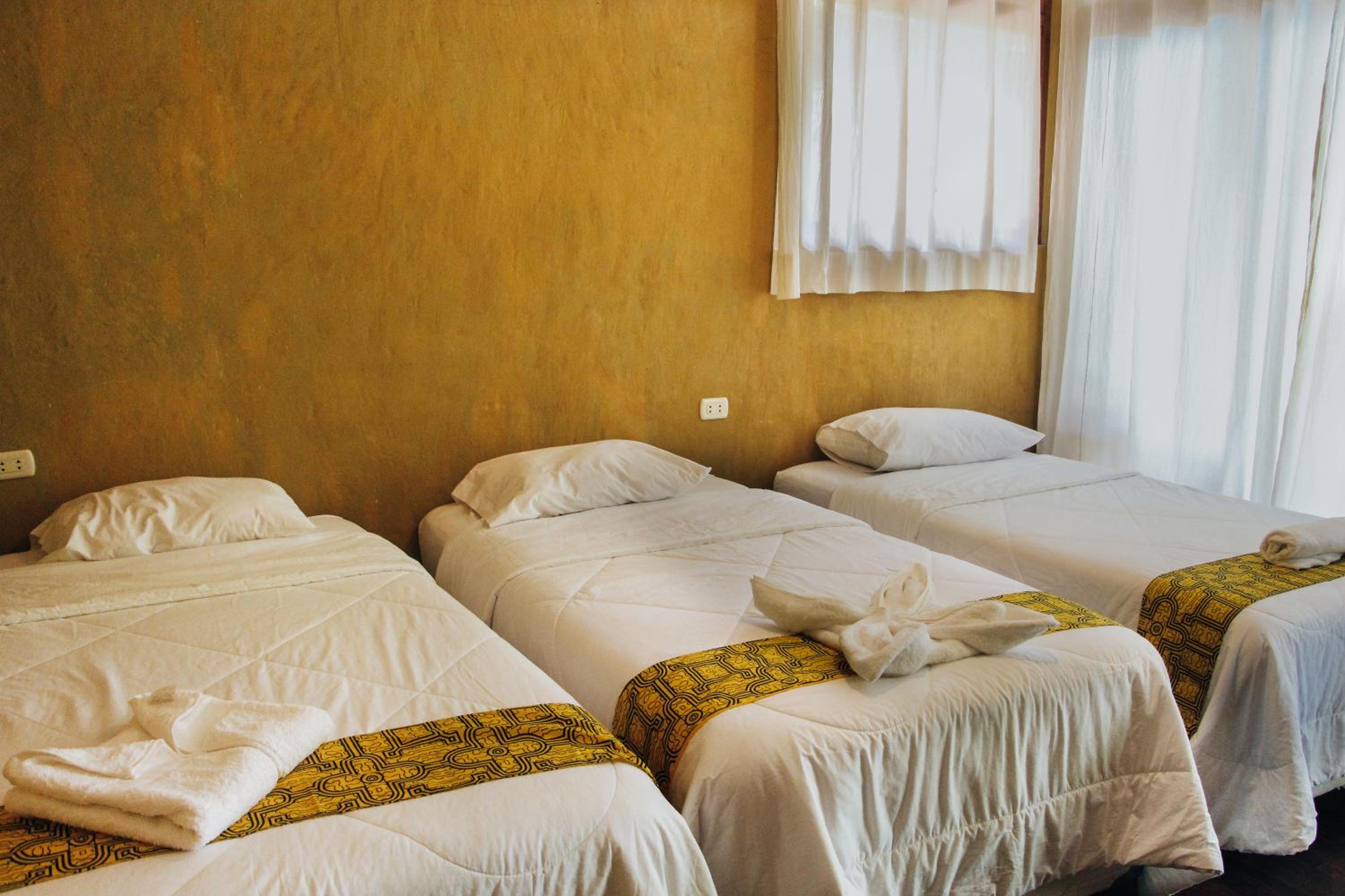 Triple Room photo 3