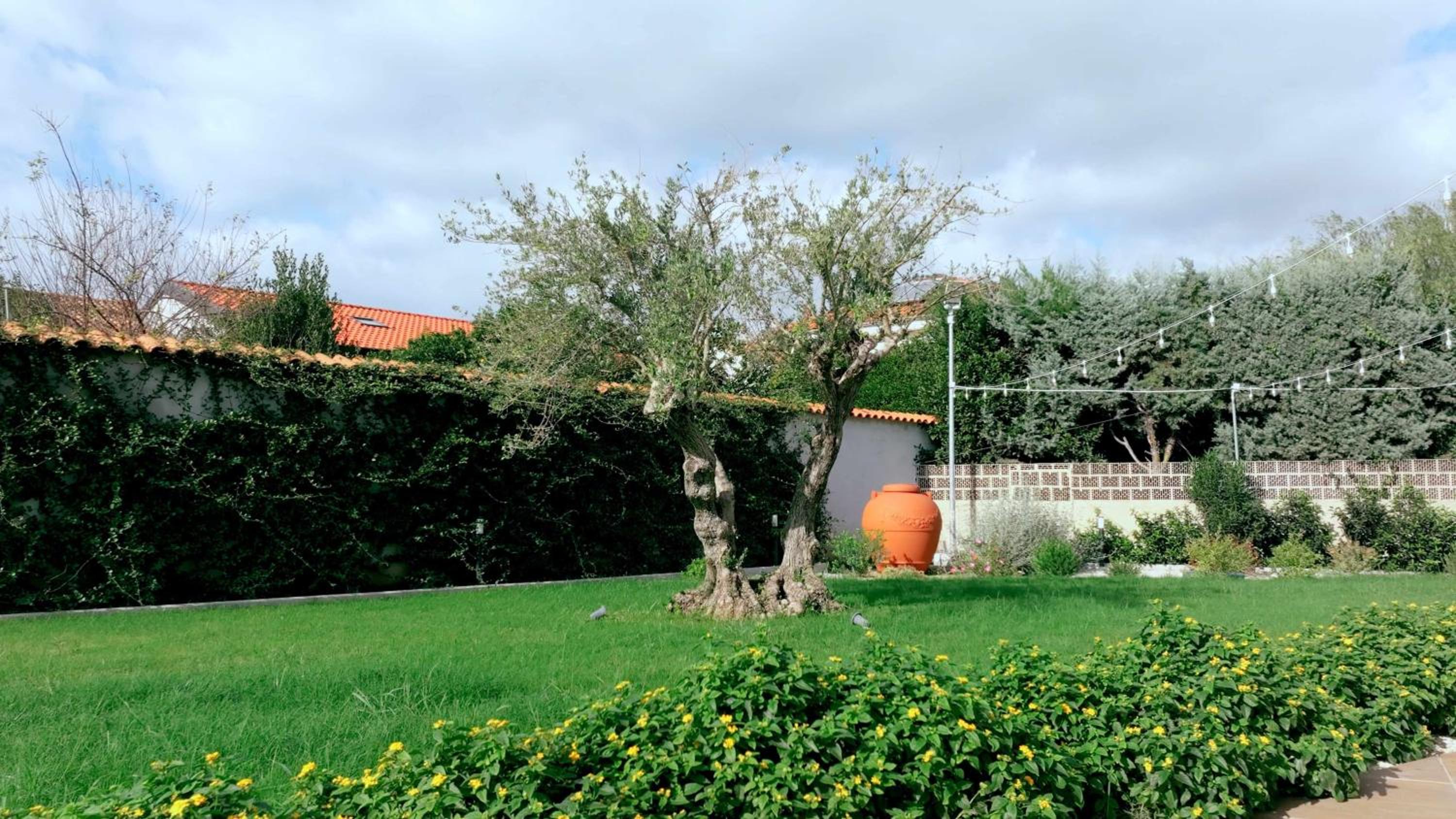 Apartment with Garden View photo 2