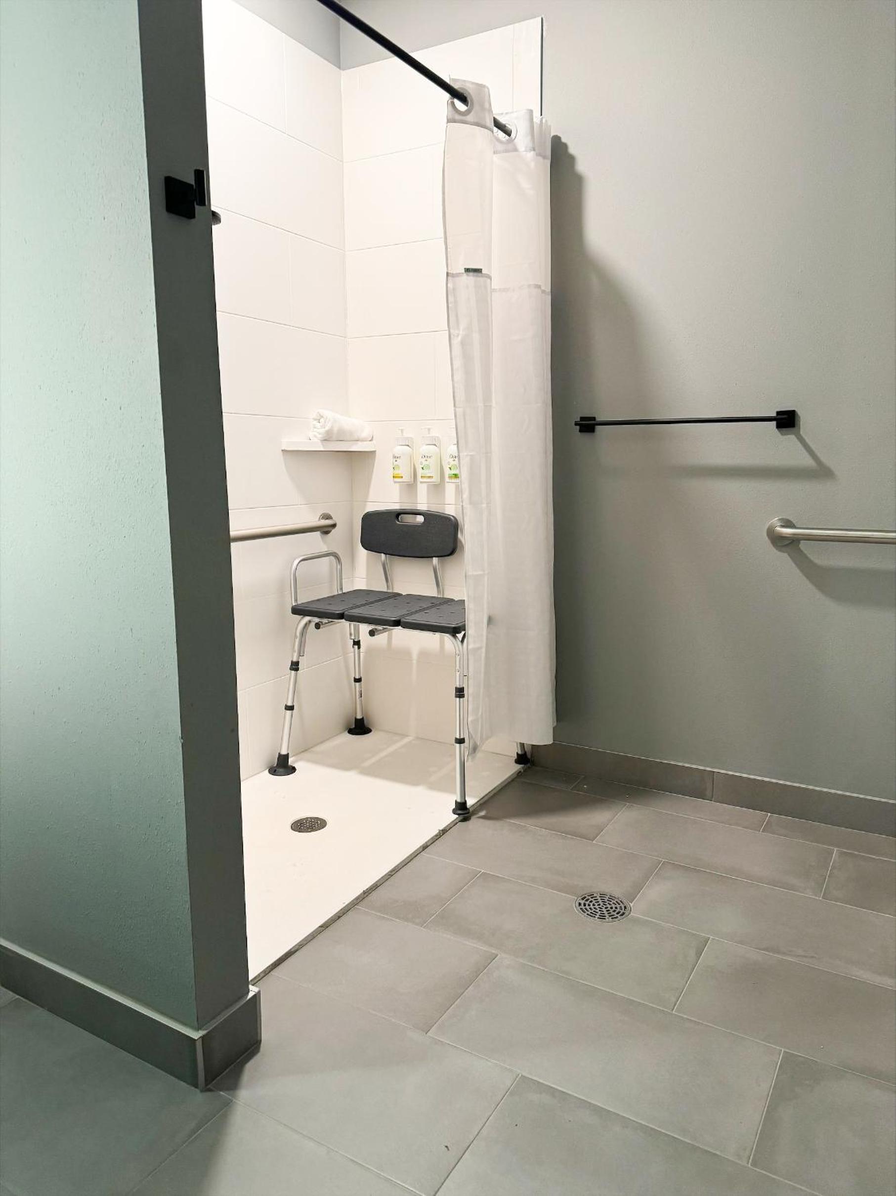 King Bedroom Suite with Roll-In Shower - Mobility/Hearing Accessible - Pet-Friendly/Non Smoking - Photo 9