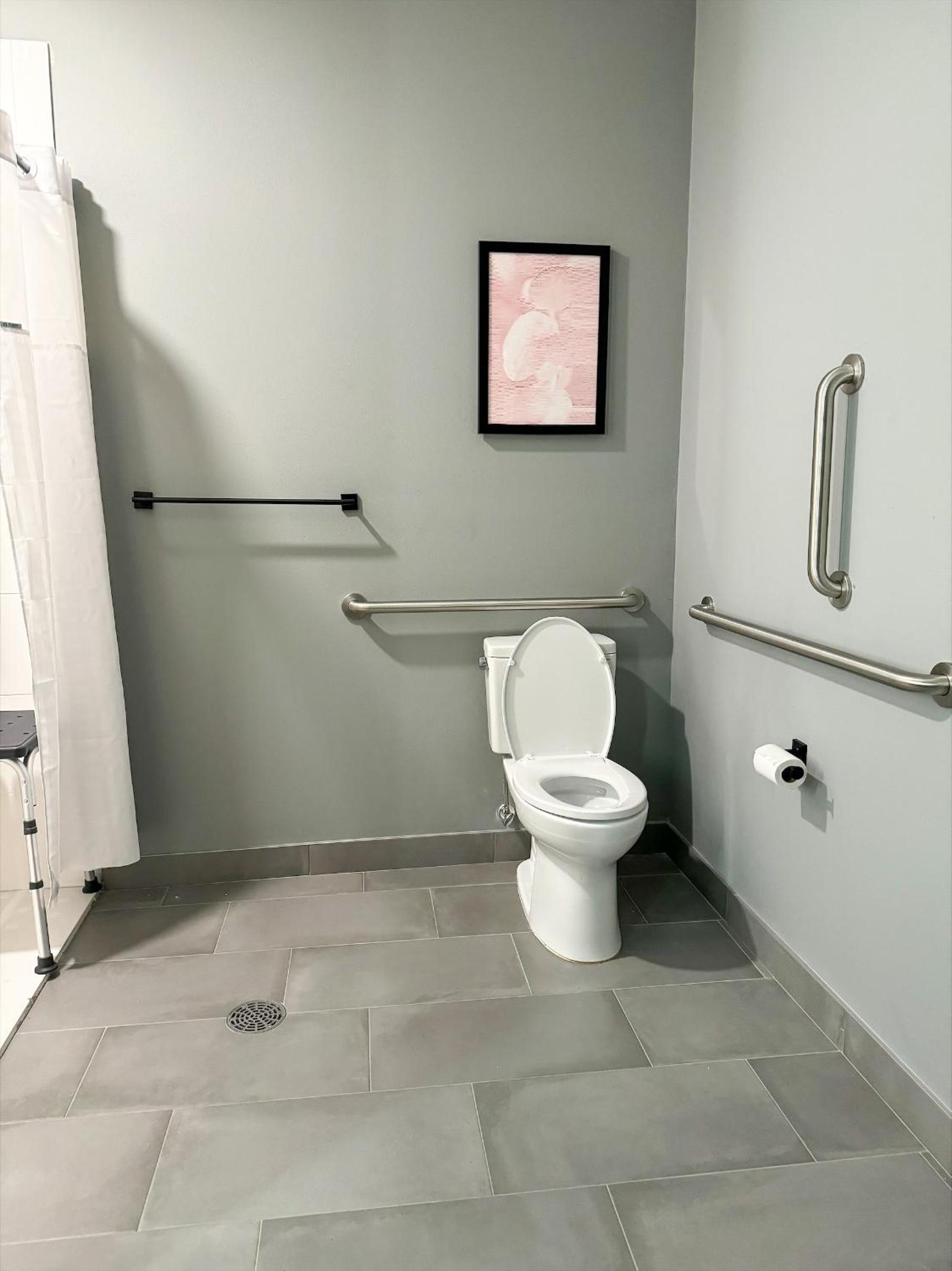 King Bedroom Suite with Roll-In Shower - Mobility/Hearing Accessible - Pet-Friendly/Non Smoking - Photo 7