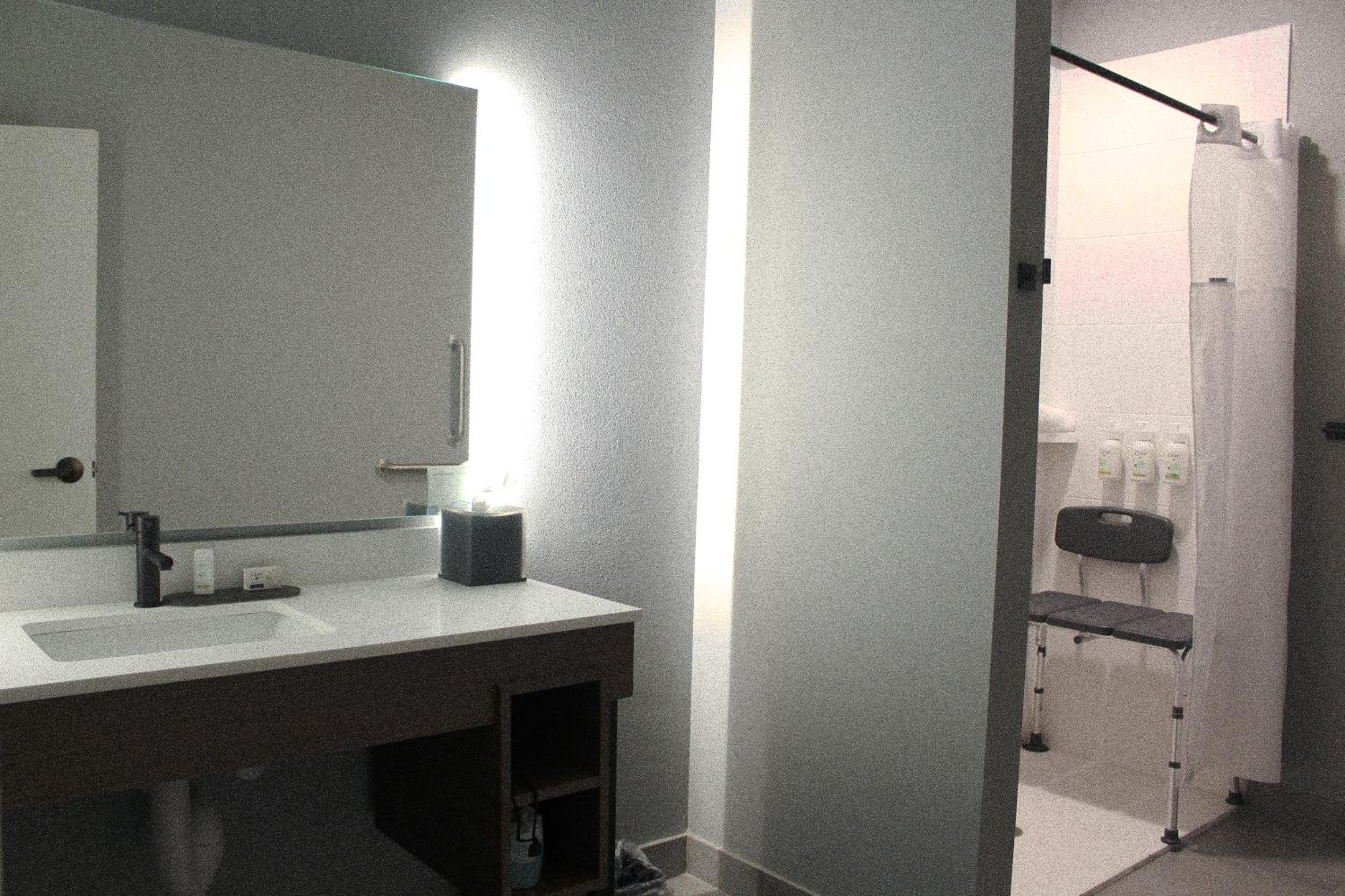 King Bedroom Suite with Roll-In Shower - Mobility/Hearing Accessible - Pet-Friendly/Non Smoking - Photo 8