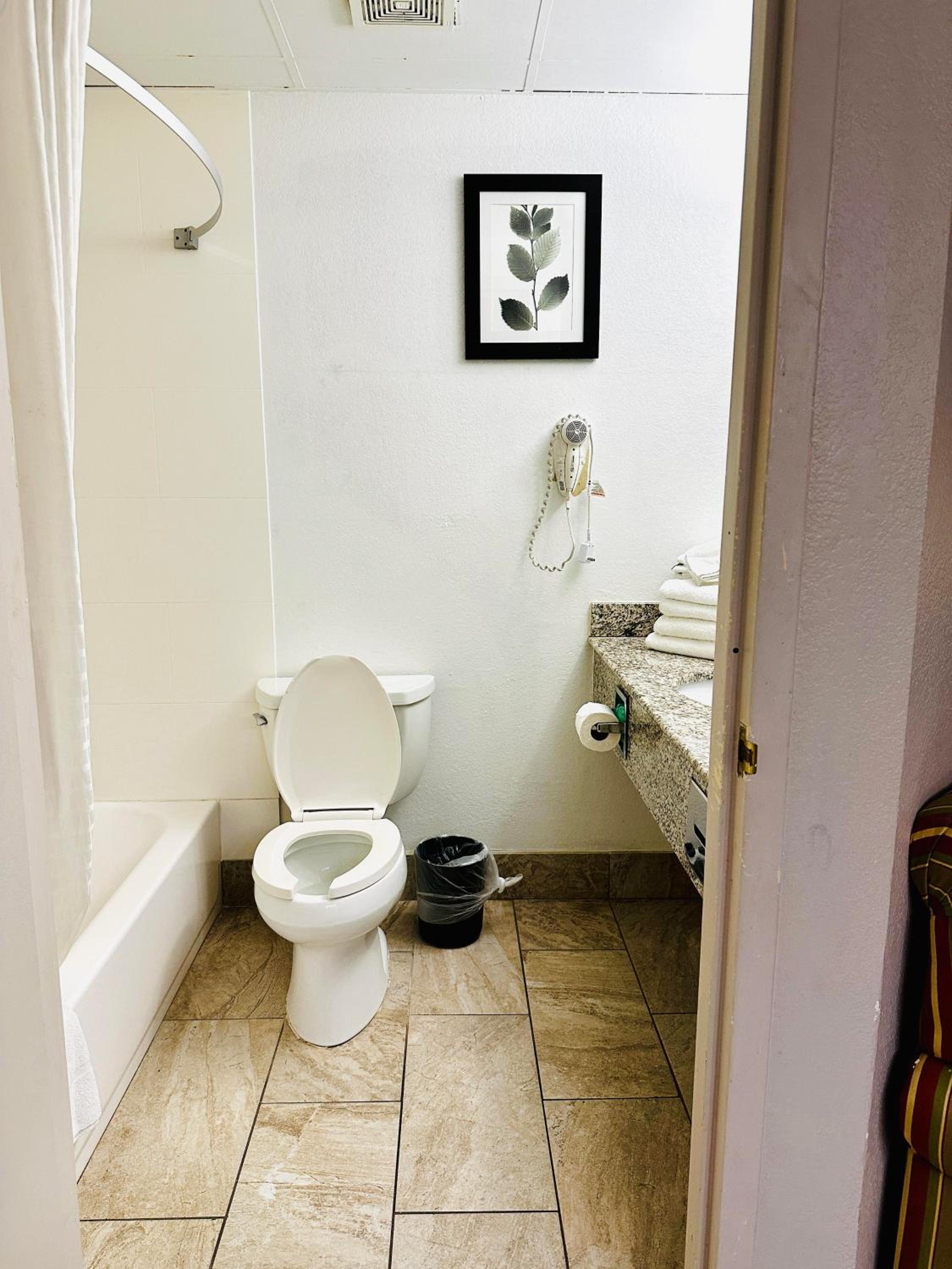 Deluxe King Suite photo 3